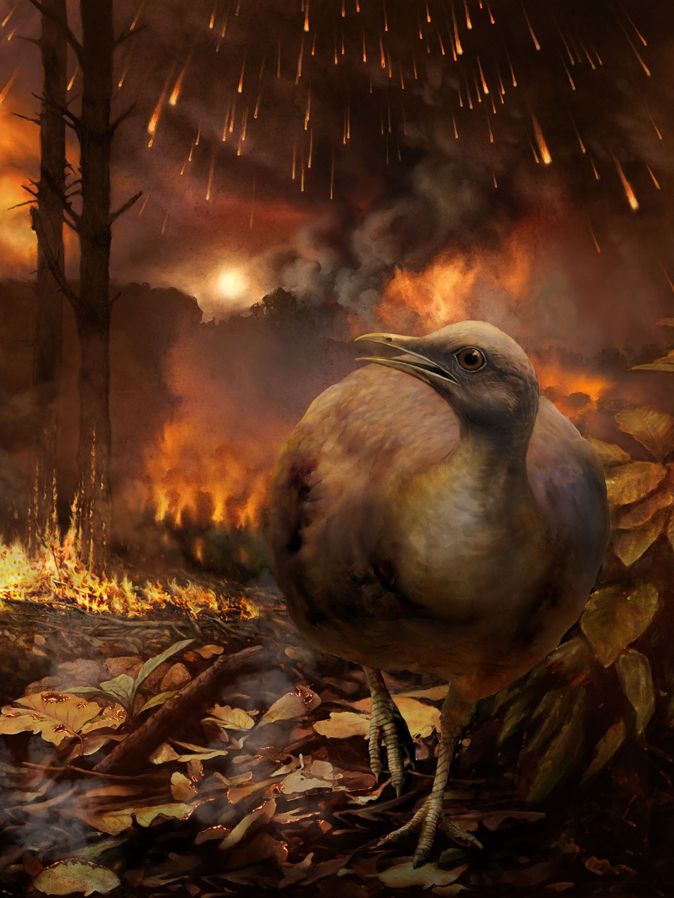 Did Birds Give Rise To Mankind?  New Scientific Evidence - s1jpeqw