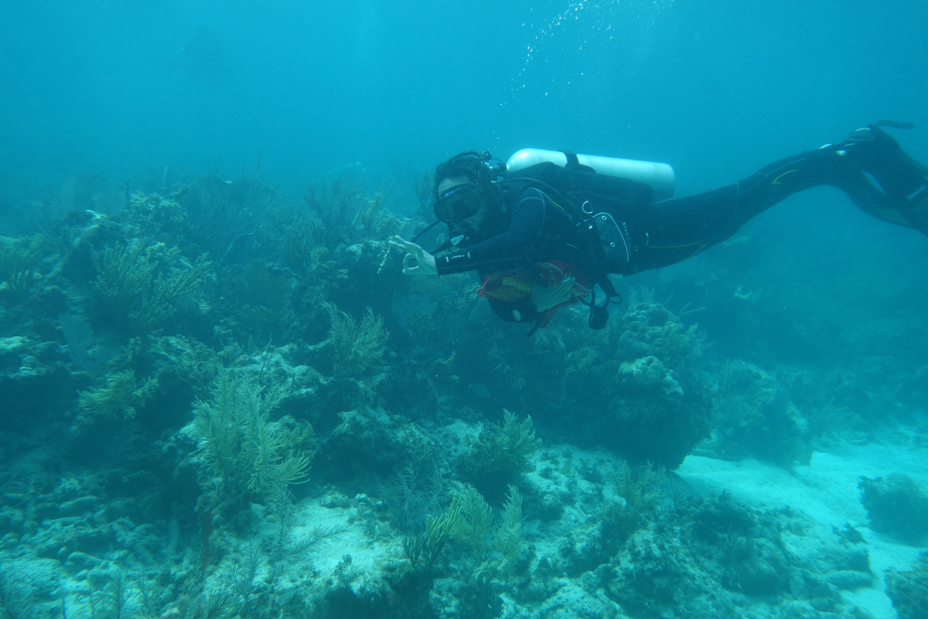 National Geographic Explorer Justin Dunnavant diving