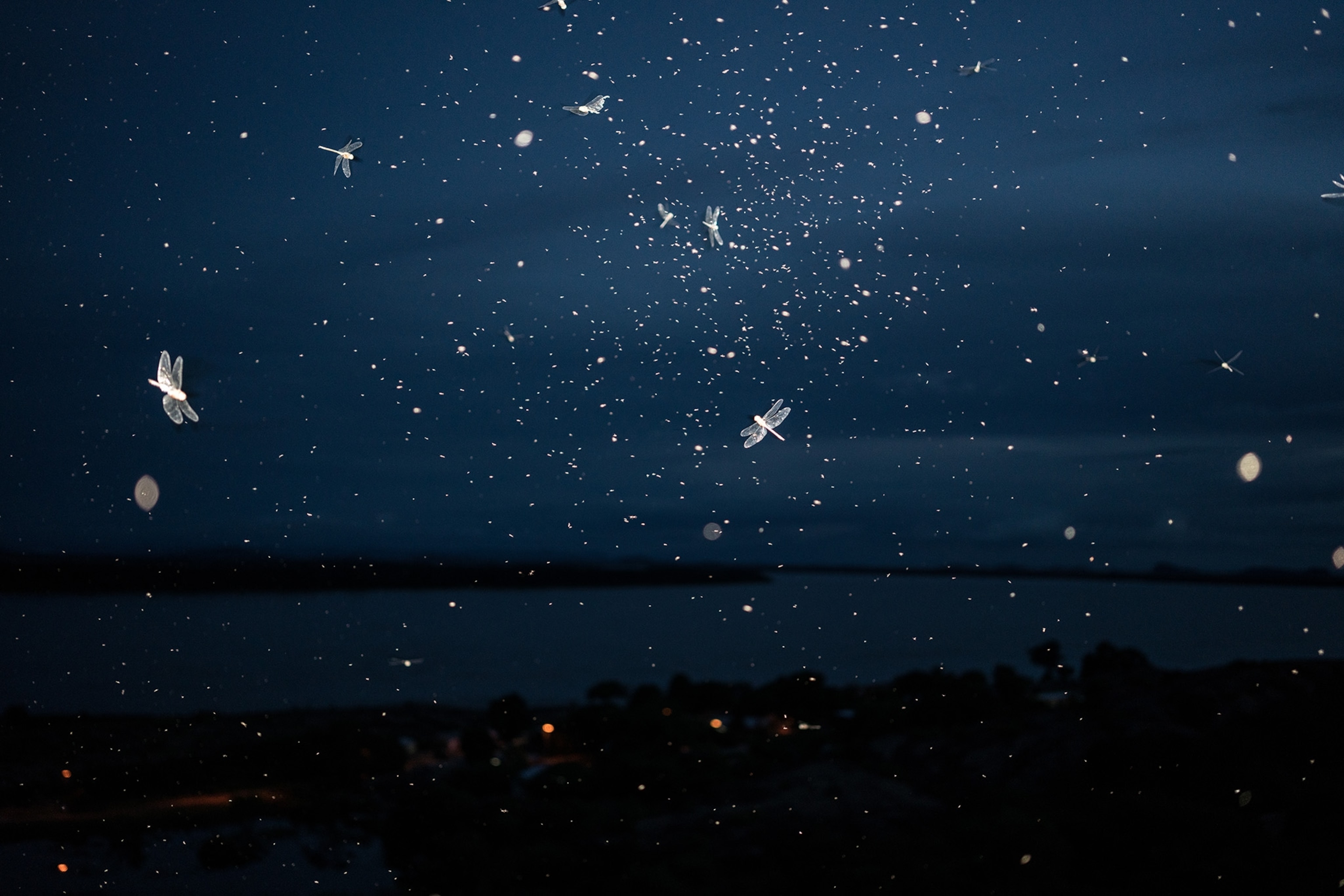 Dragonflies and unidentified specks are illuminated in the night sky near a river.