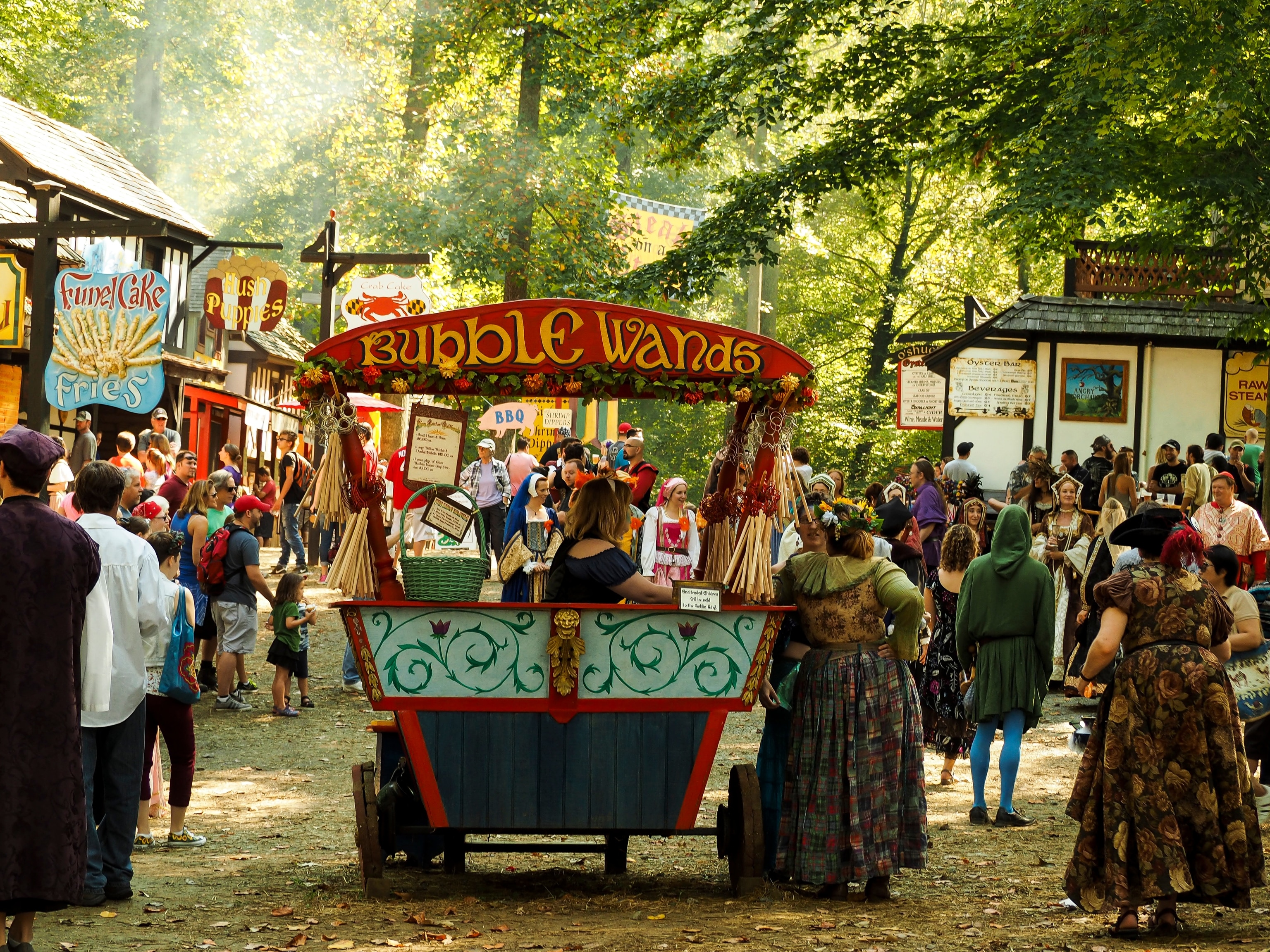 How the Renaissance Fair became America's favorite fantasy | National  Geographic