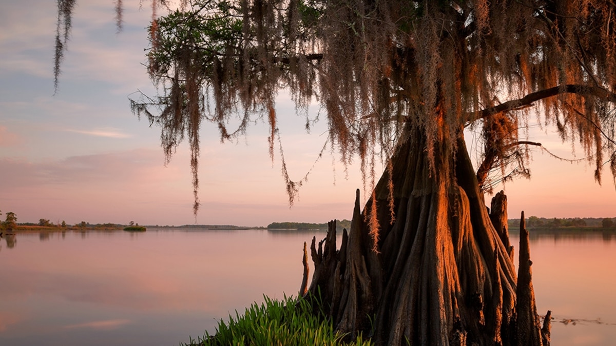 Travel 365: Best of November 2014