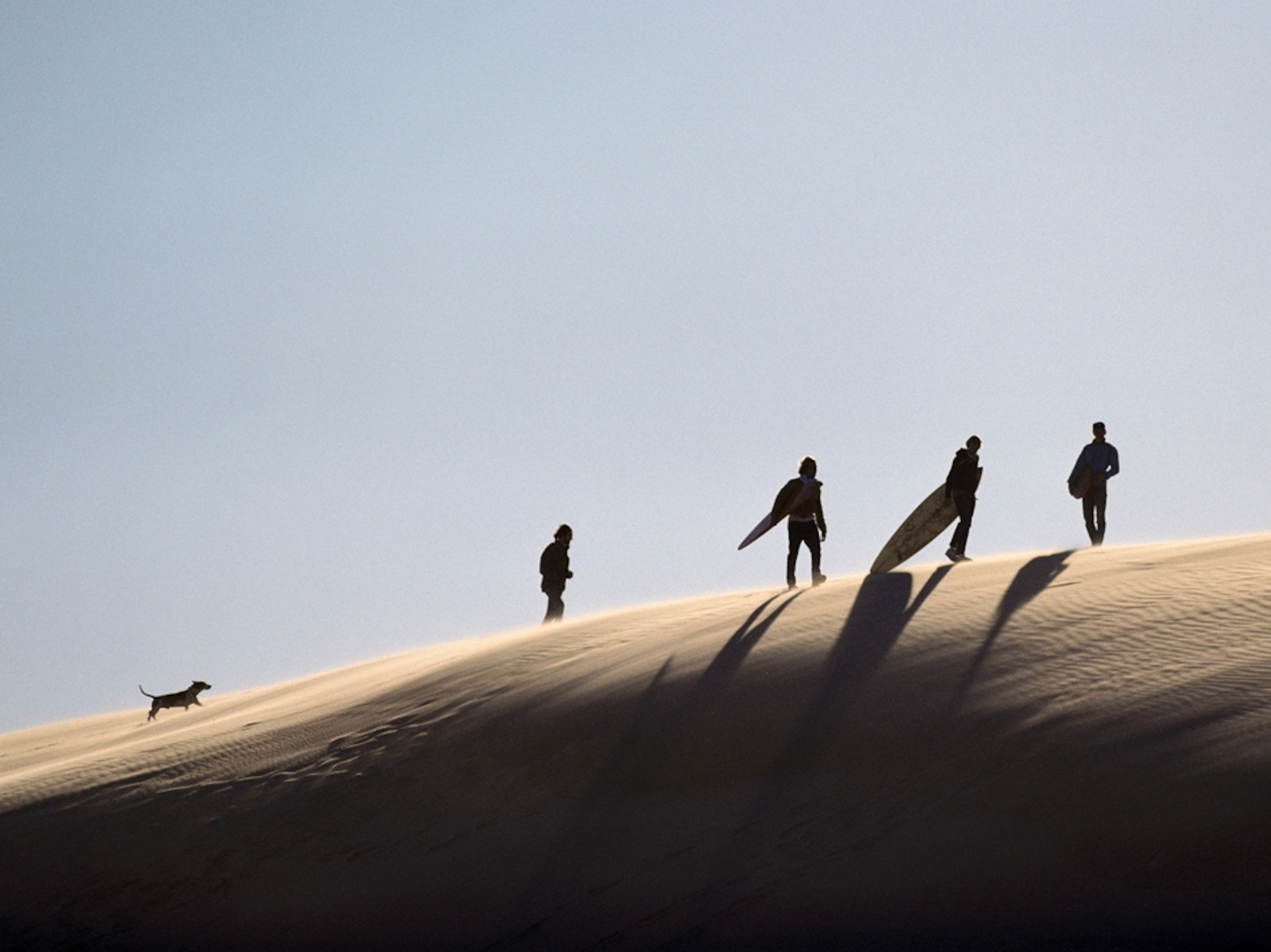 Surfers carrying their boards on sand dune