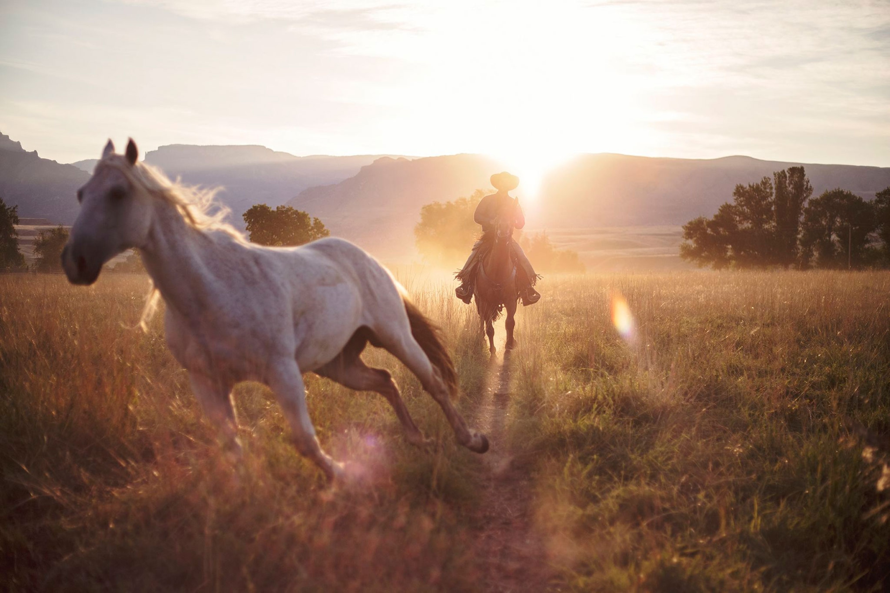 a man riding horseback following a white horse