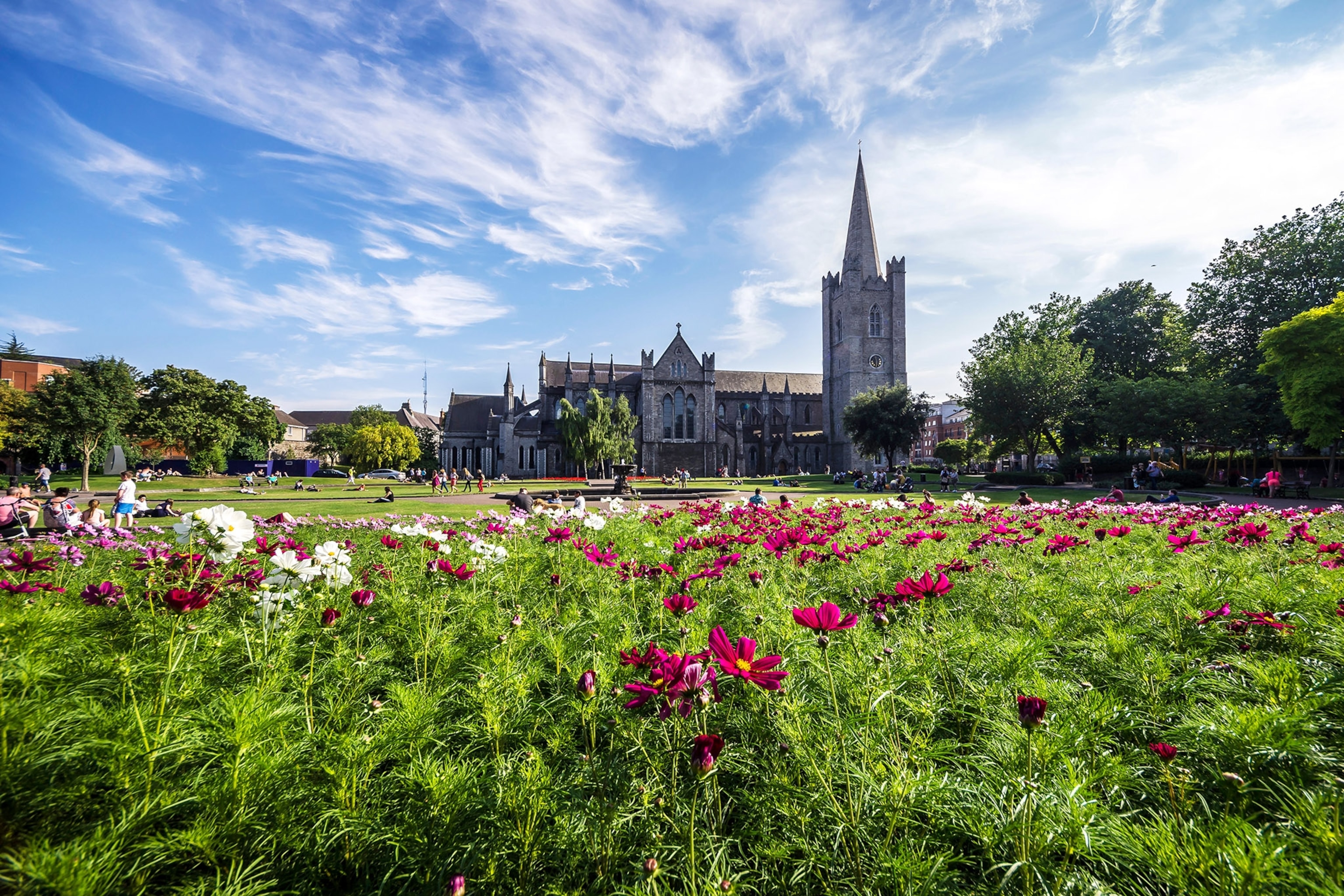 the Saint Patrick's Cathedral and Saint Patricks Park in Dublin, Ireland