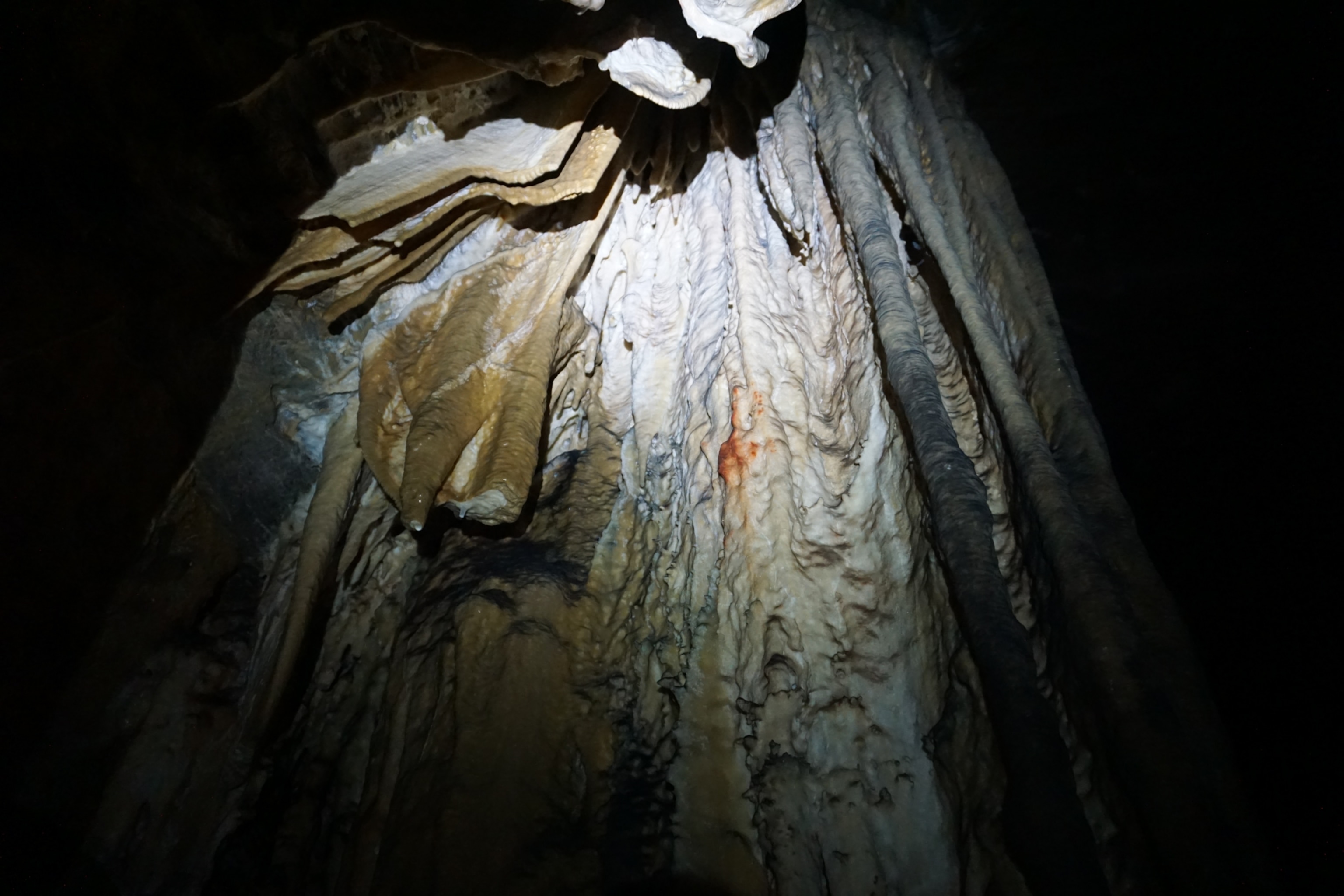Dimly lit cave interior with intricate stalactite formations. The rock surface is textured and layered, with a slight reddish hand print