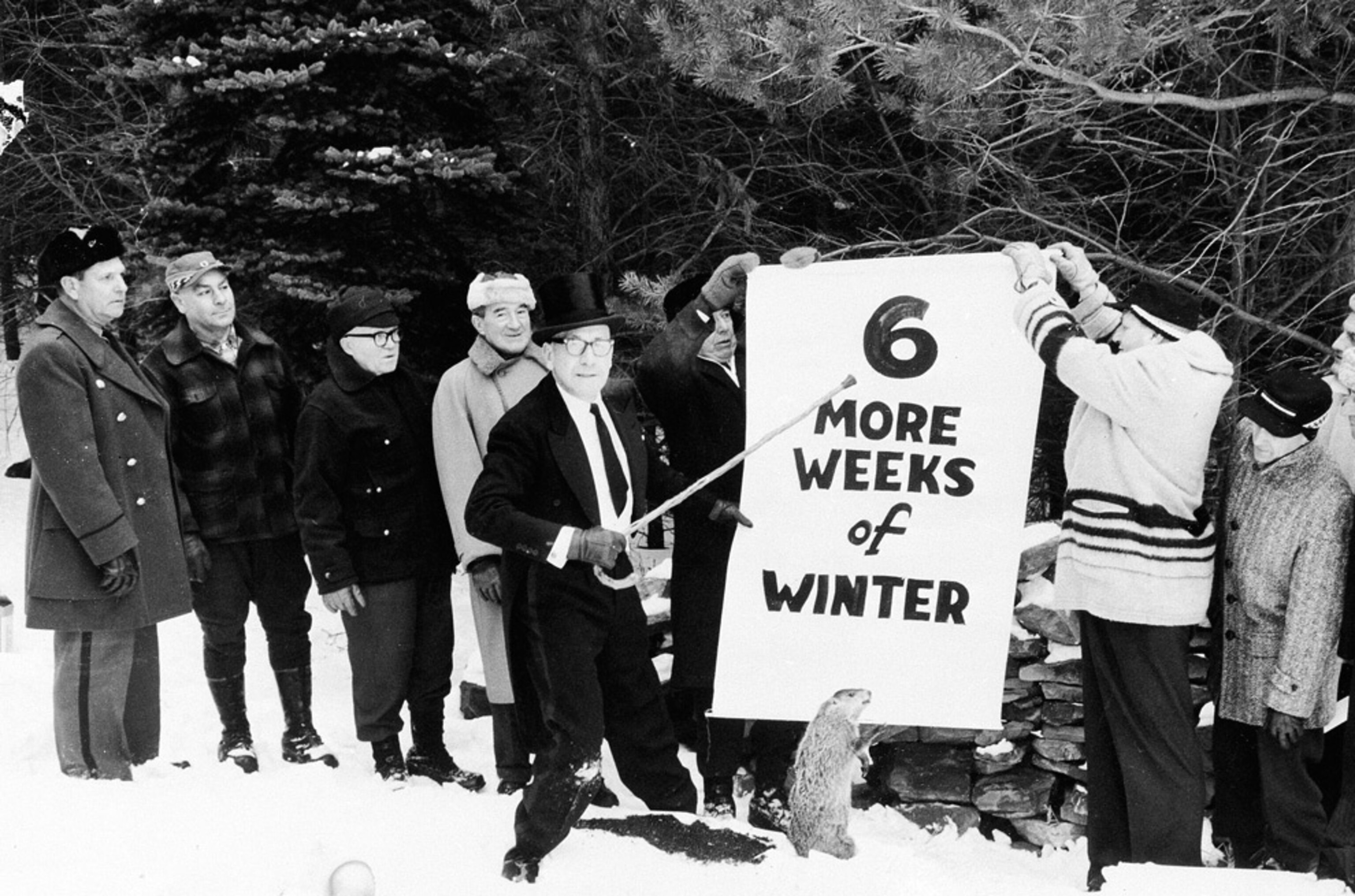 The Punxsutawney Groundhog Club in 1961.