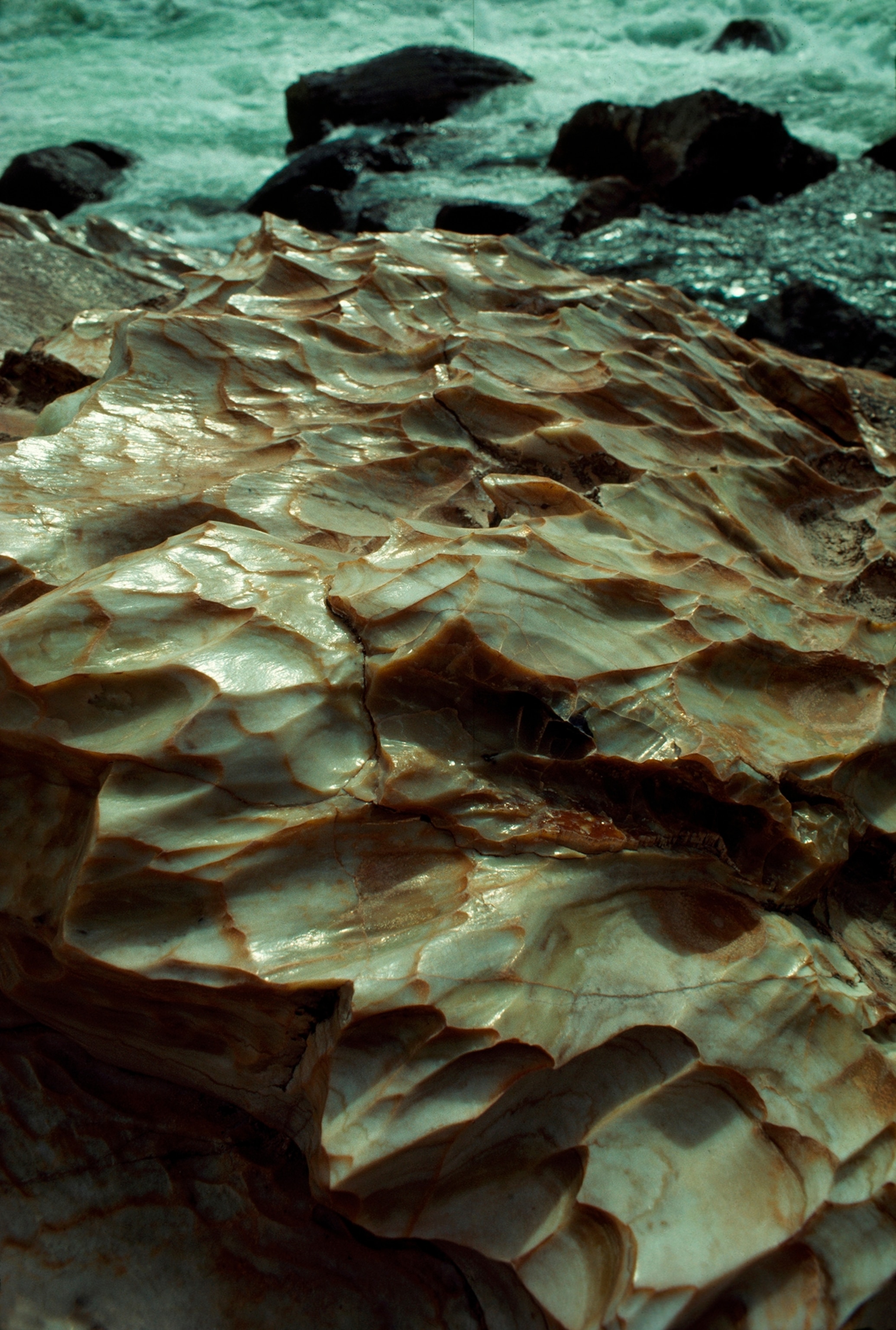 A view of a marbleized limestone rock.