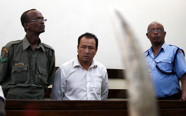 Arrested in Nairobi airport on January 28, 2014, Chinese national Tang Yong Jian stands in the dock in the capital’s courthouse, accused of smuggling 7.5 pounds (3.4 kilograms) of raw ivory to China from Mozambique. He pleaded guilty and was fined U.S. $223,000—or seven years in jail if he failed to pay. Chinese smugglers are believed to be the main culprits in the current decline of Mozambique’s elephants. Photograph by Thomas Mukoya, Reuters/Corbis