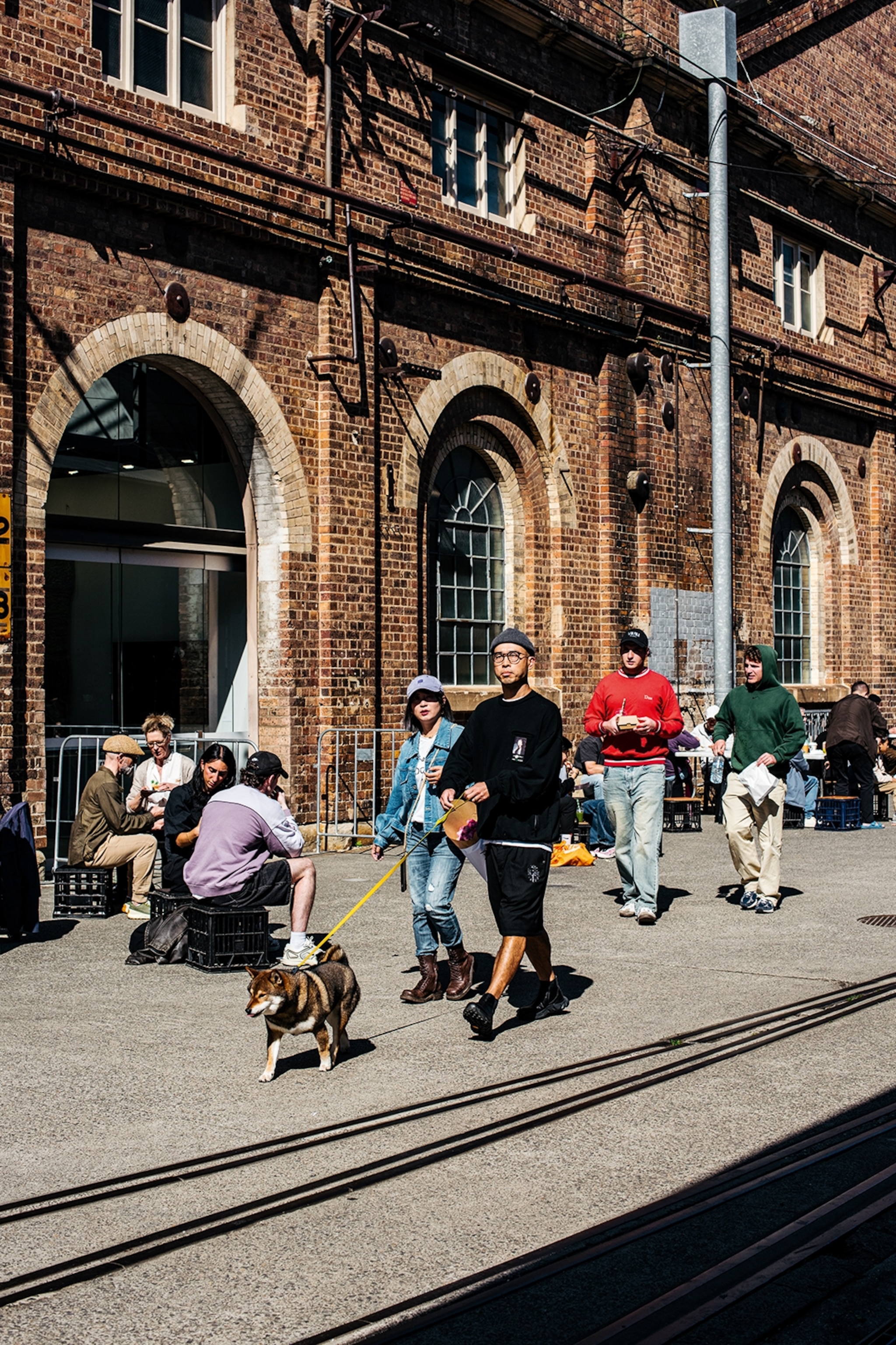 A sunny city scene of a busy pedestrian zone with a couple and a dog walking down the street in the focus.