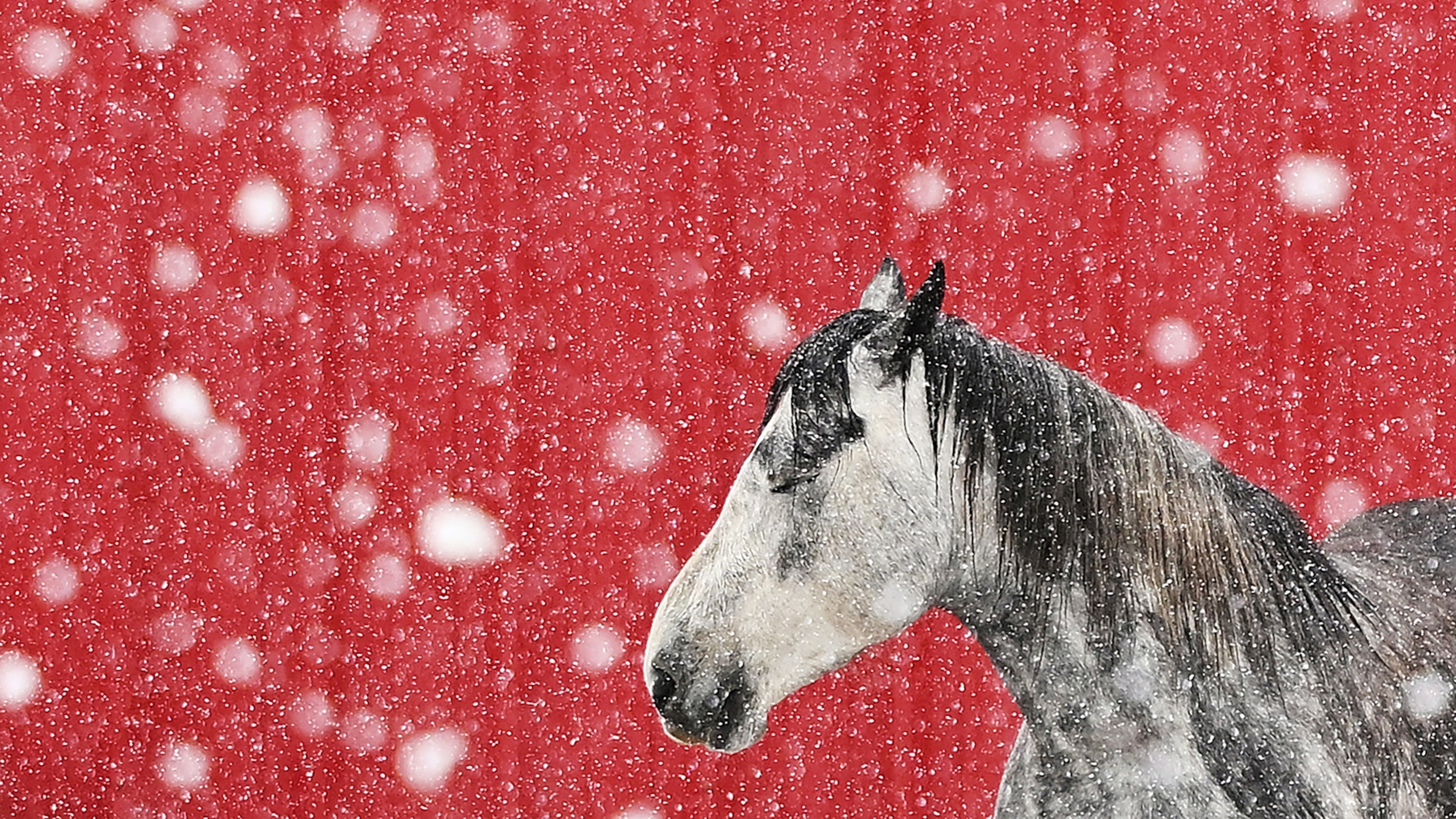 Check out some of the remarkable pictures that wowed Nat Geo's photo editors this month