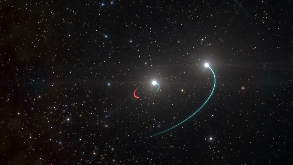 Closest black hole to Earth found 'hiding in plain sight' | National  Geographic, image size:1200x675