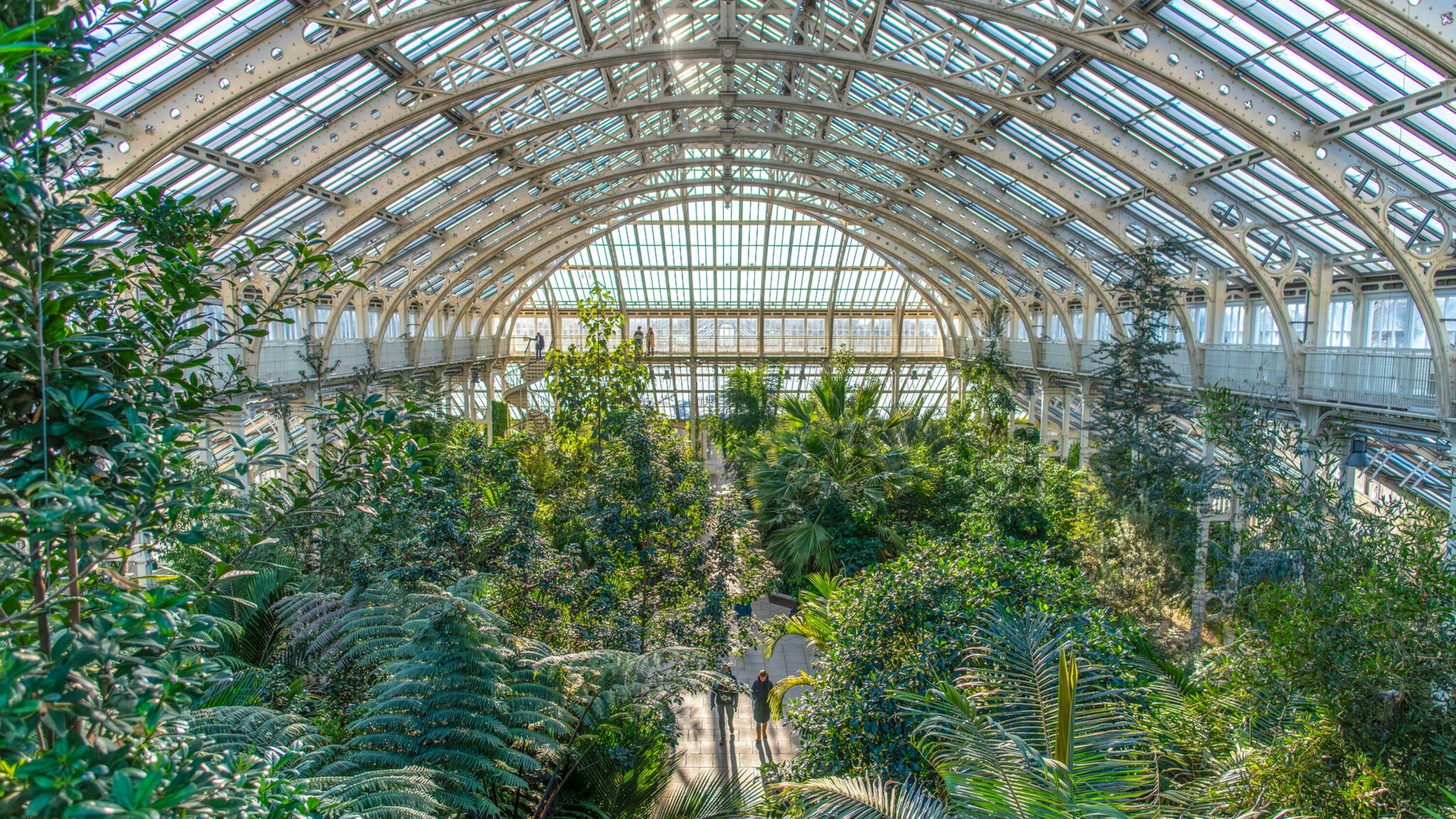 9 botanical gardens to visit in winter , from London Kew Gardens to Singapore Gardens by the Bay