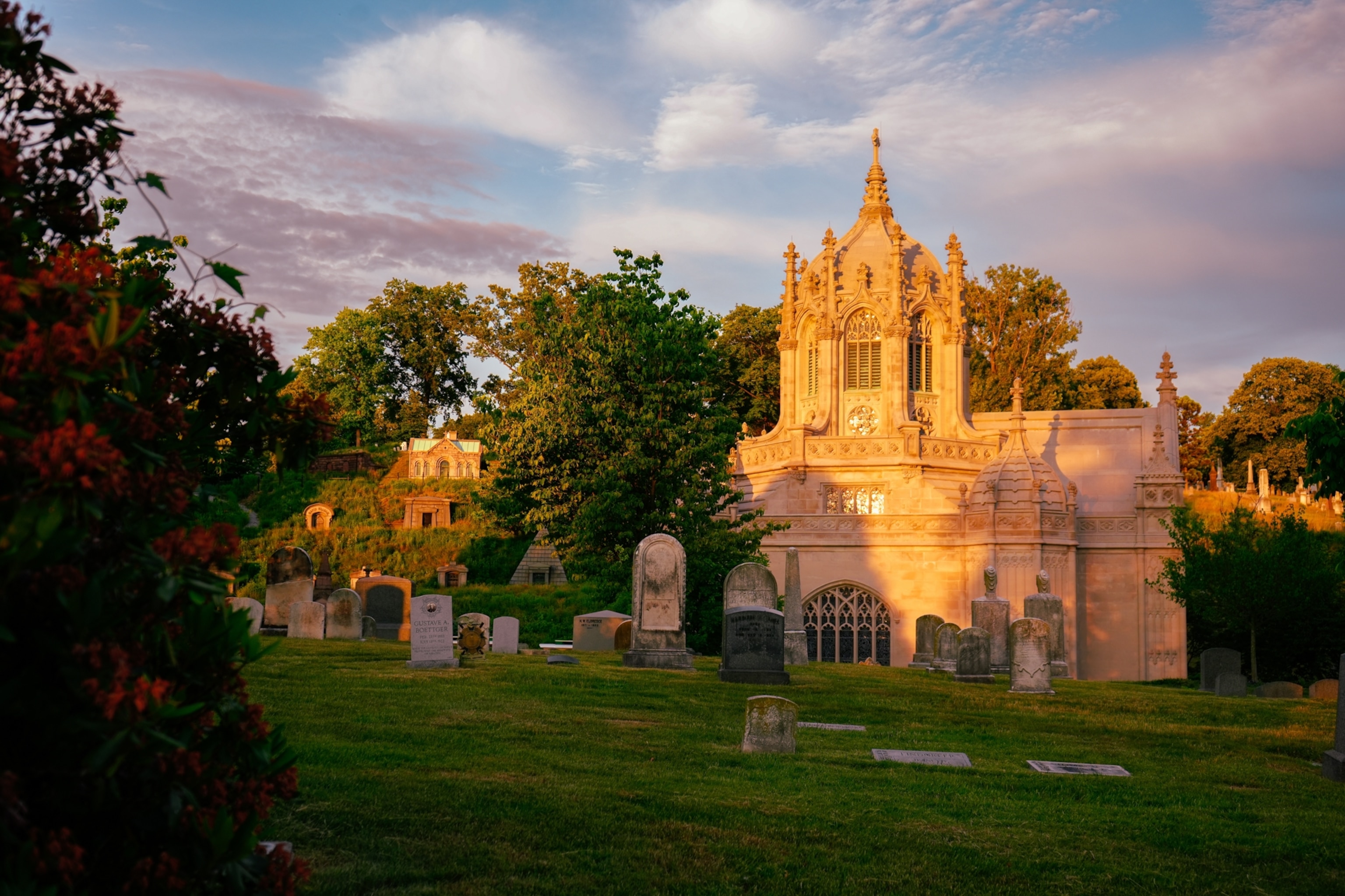 Weathered gravestones stand among dense trees and greenery in a quiet woodland cemetery with a dirt path running through it.