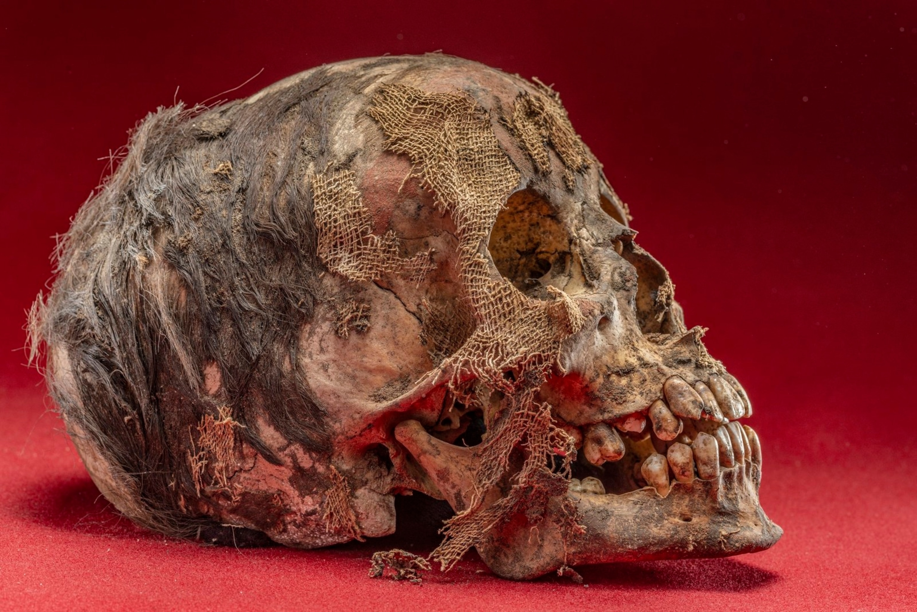 A skull.