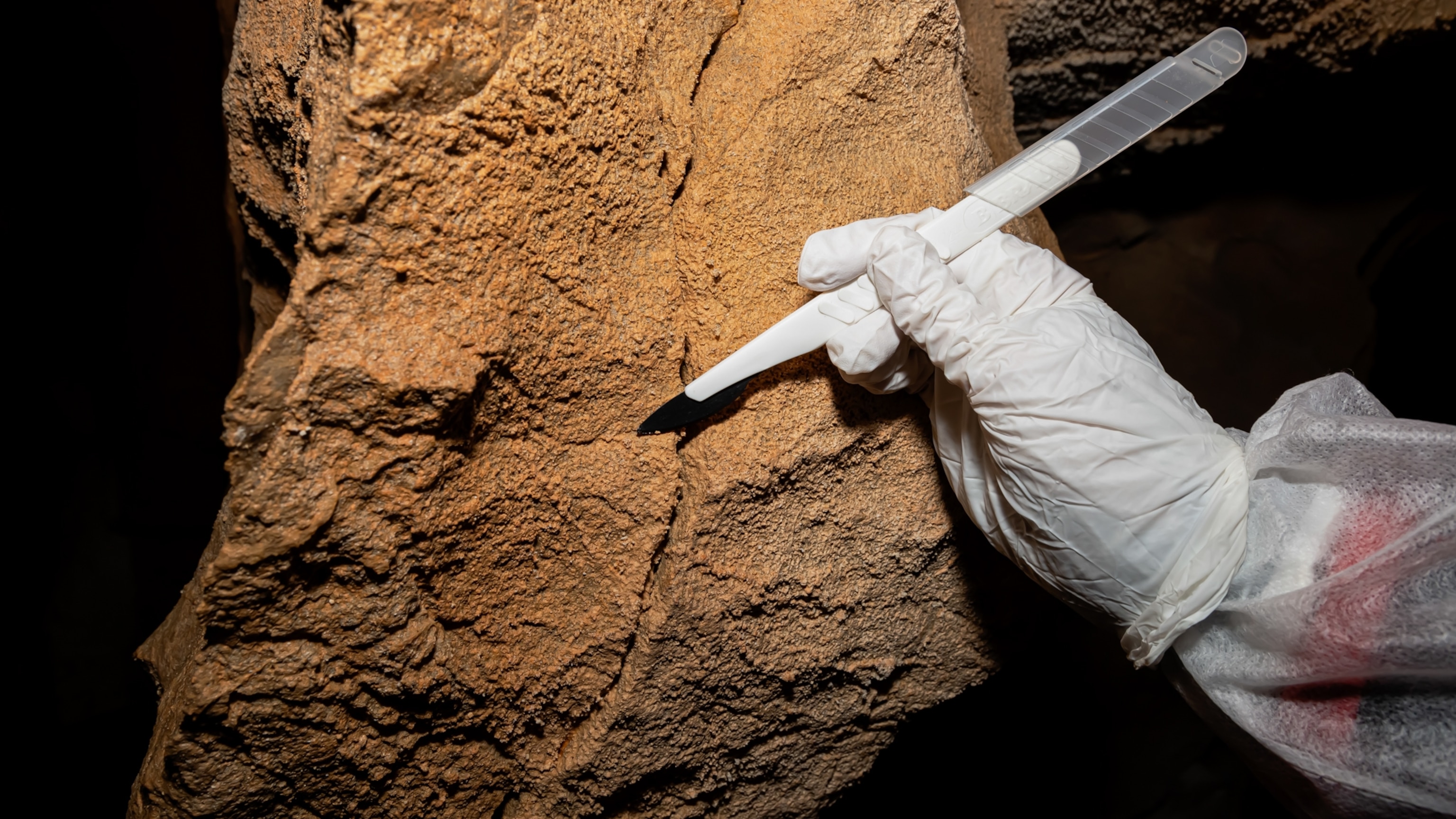 In a first, scientists extract ancient human DNA from cave walls