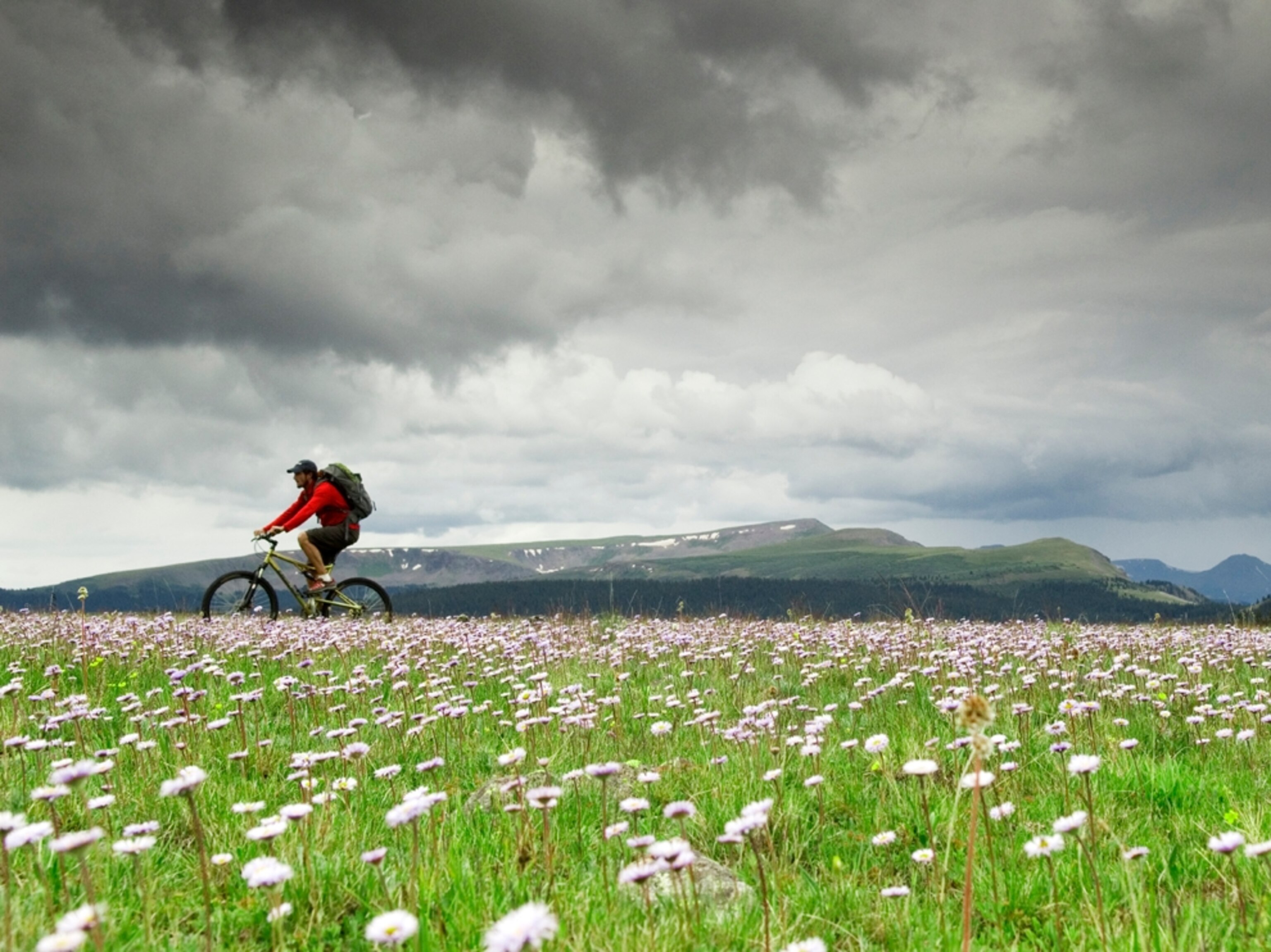 Mountain biker crosses field