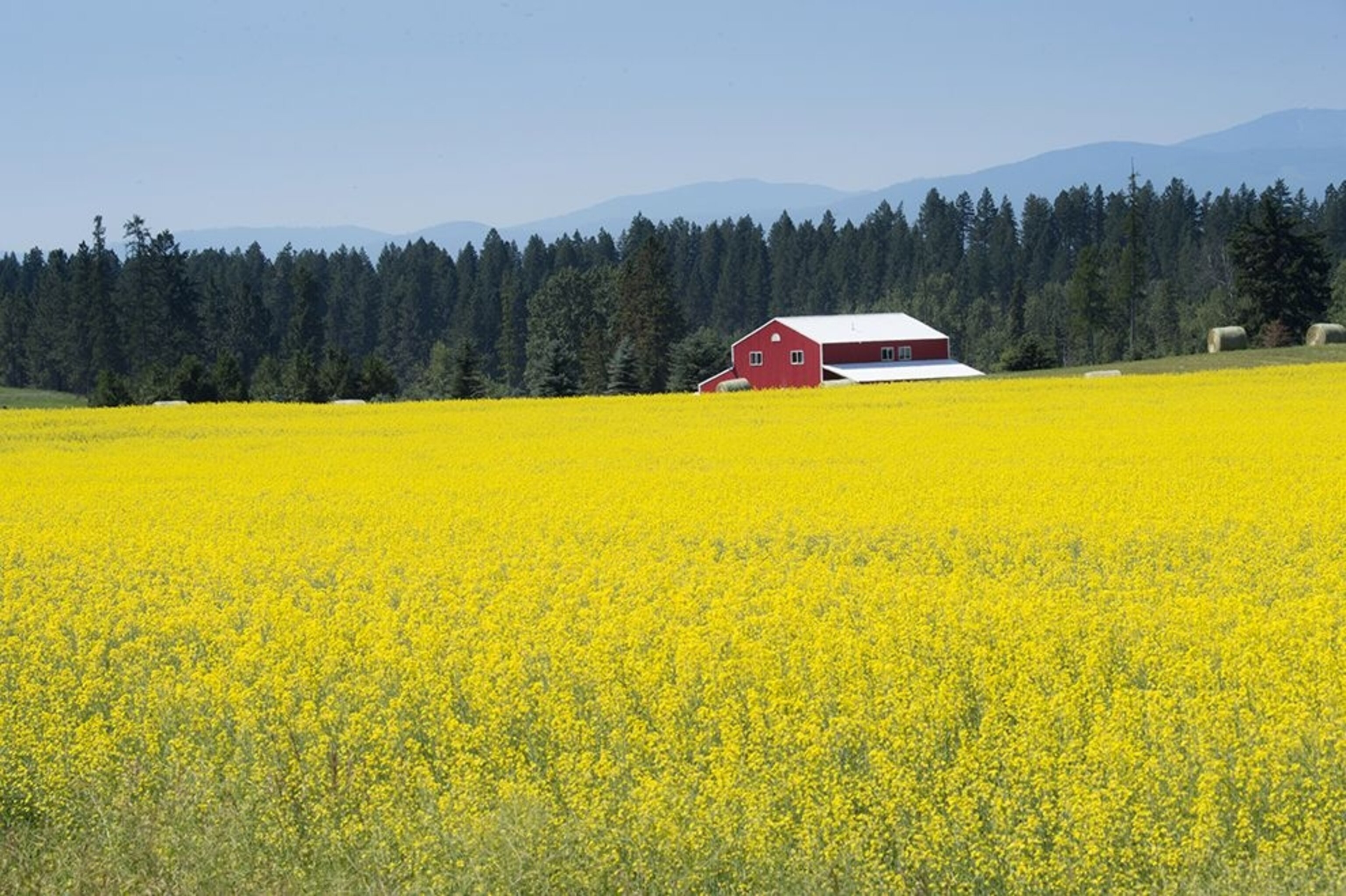 Farm on Highway 35