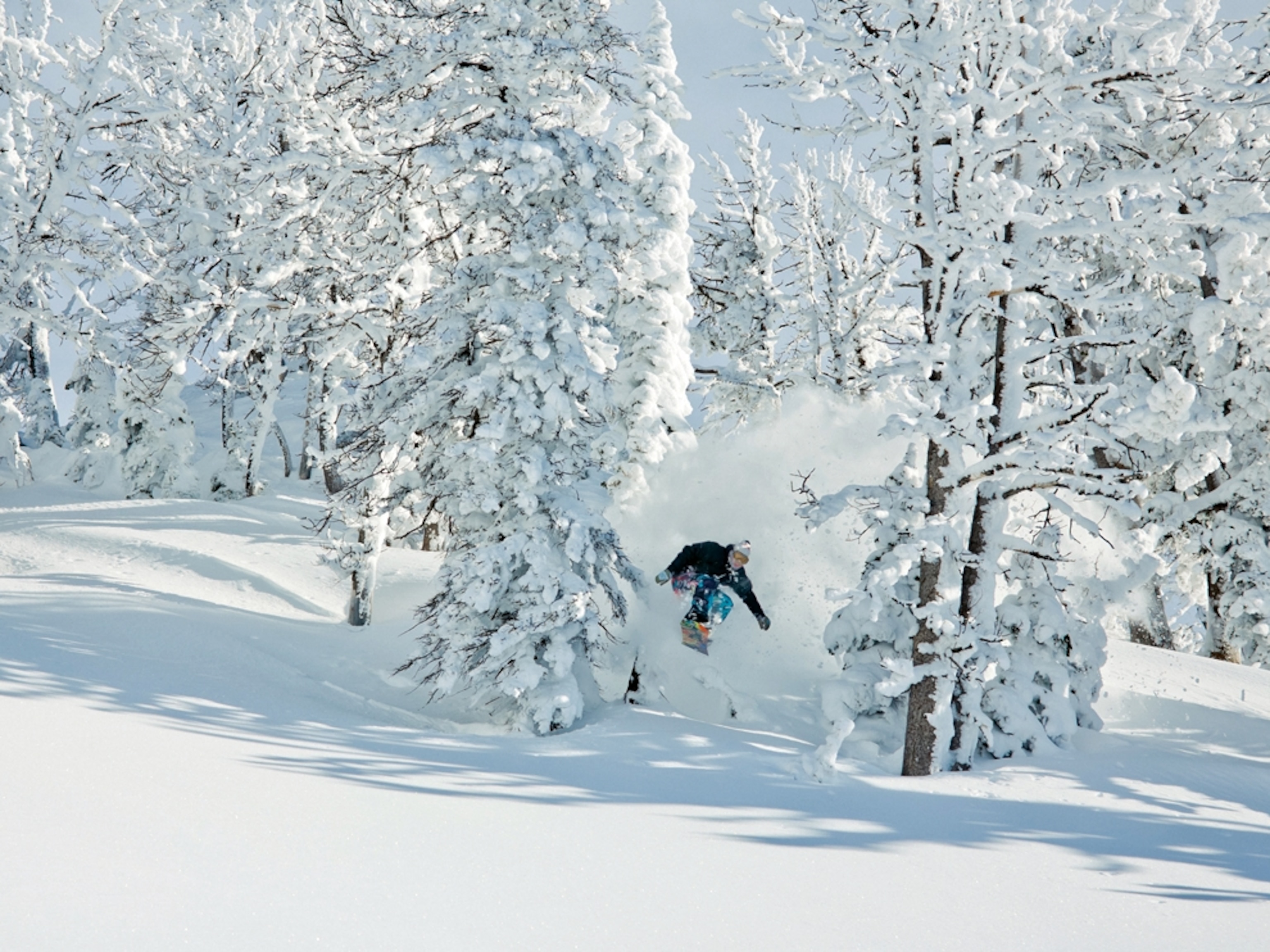 Travis Rice in action in Jackson Hole, Wyoming