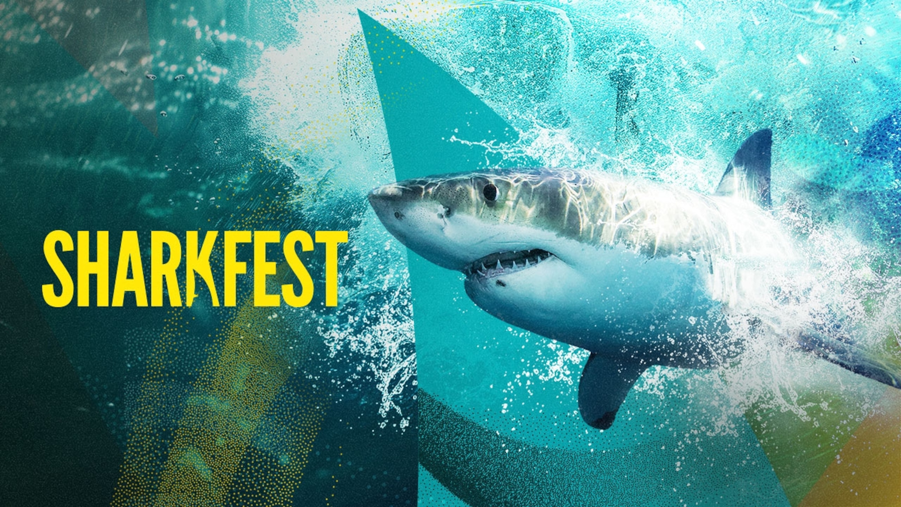Watch the Sharkfest collection on Disney+
