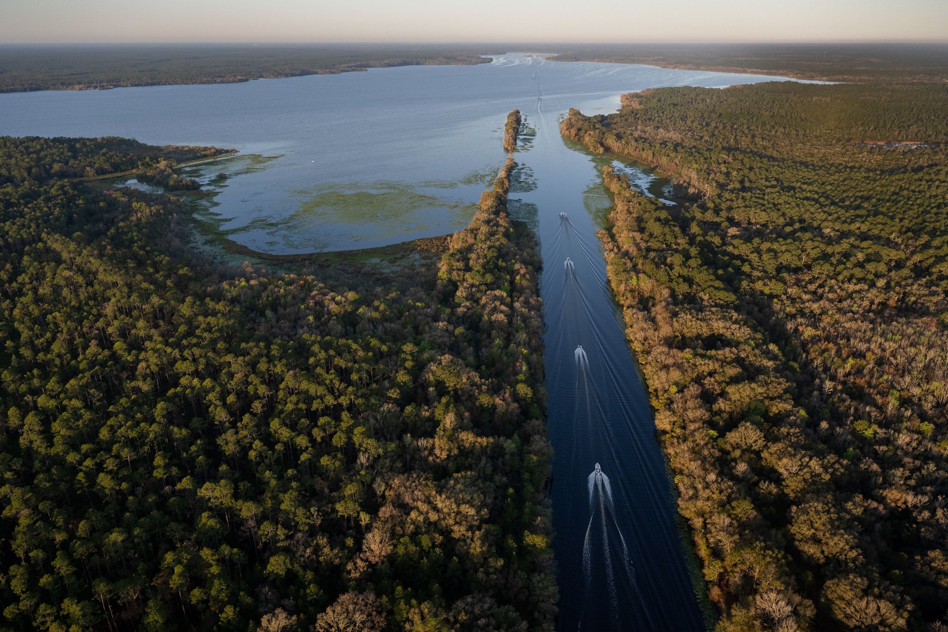 Aerial view of a narrow waterway cutting through dense forest, leading to a wide, tranquil lake.