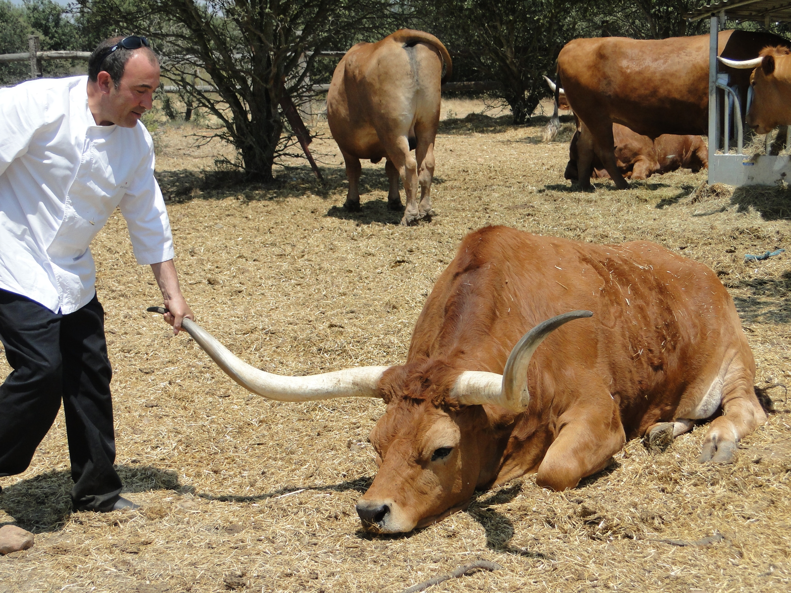 Photograph courtesy José Andrés