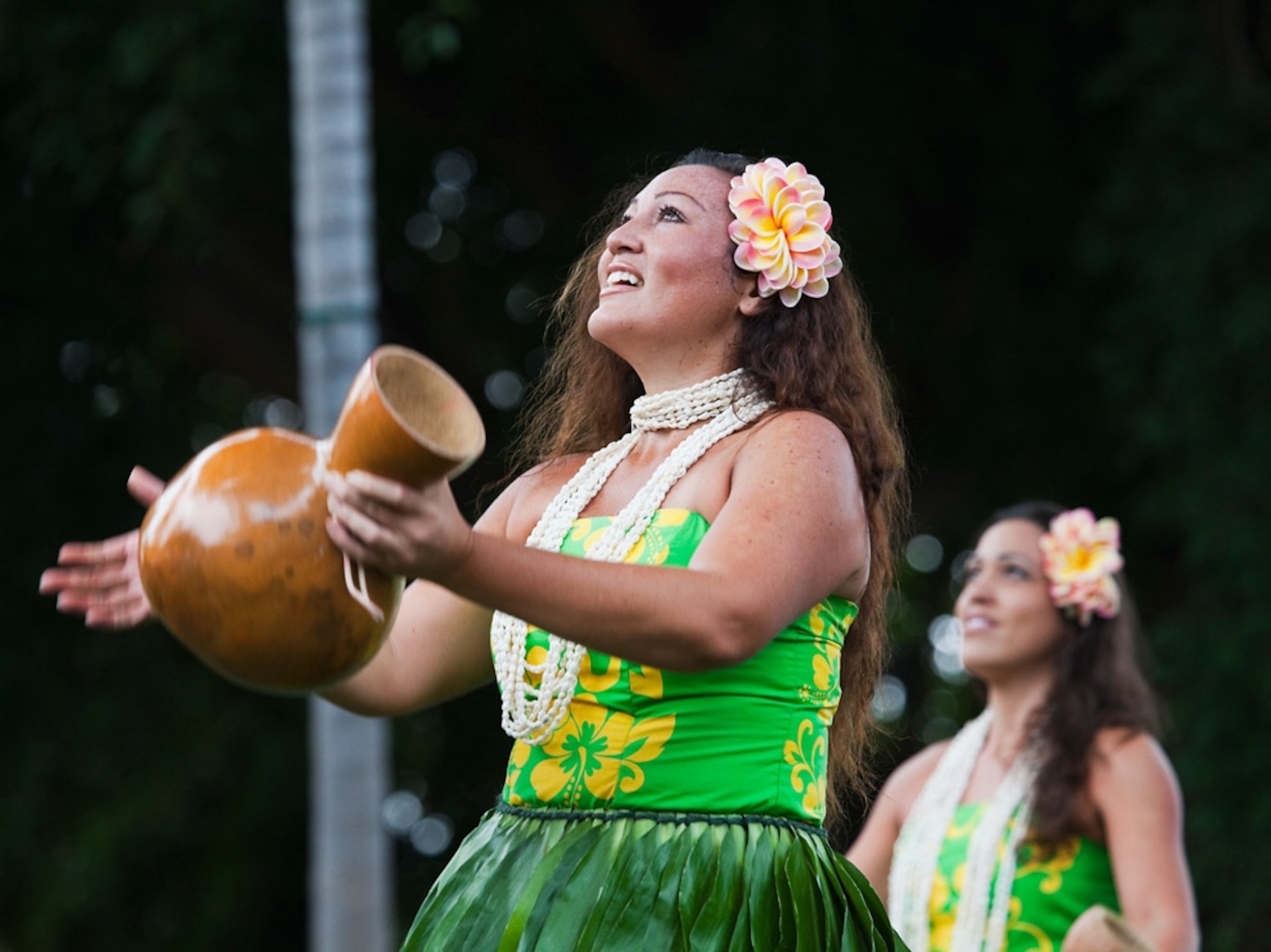 Traditional Hawaiian dance
