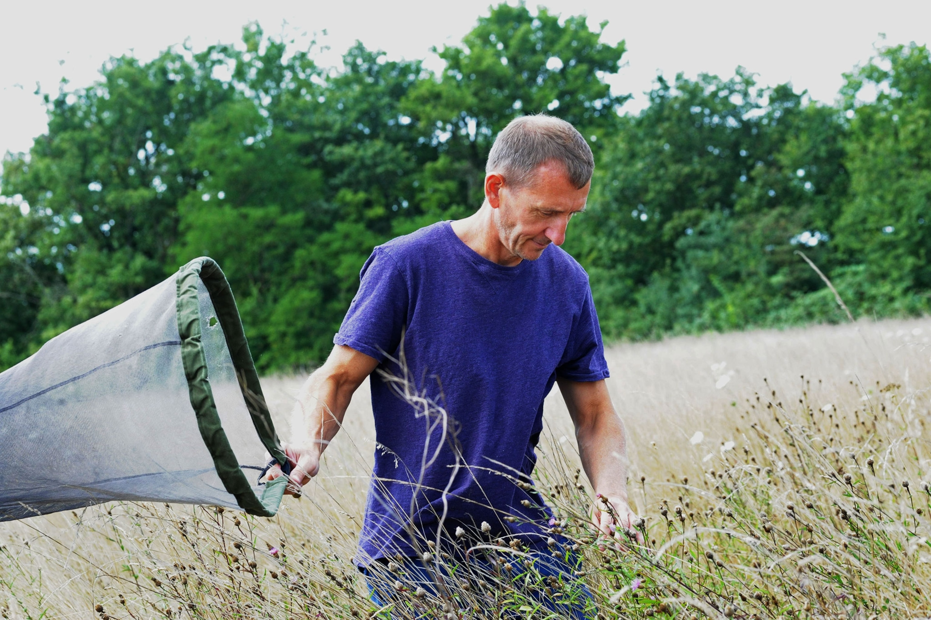 author David Goulson hunting for insects at his farm in France
