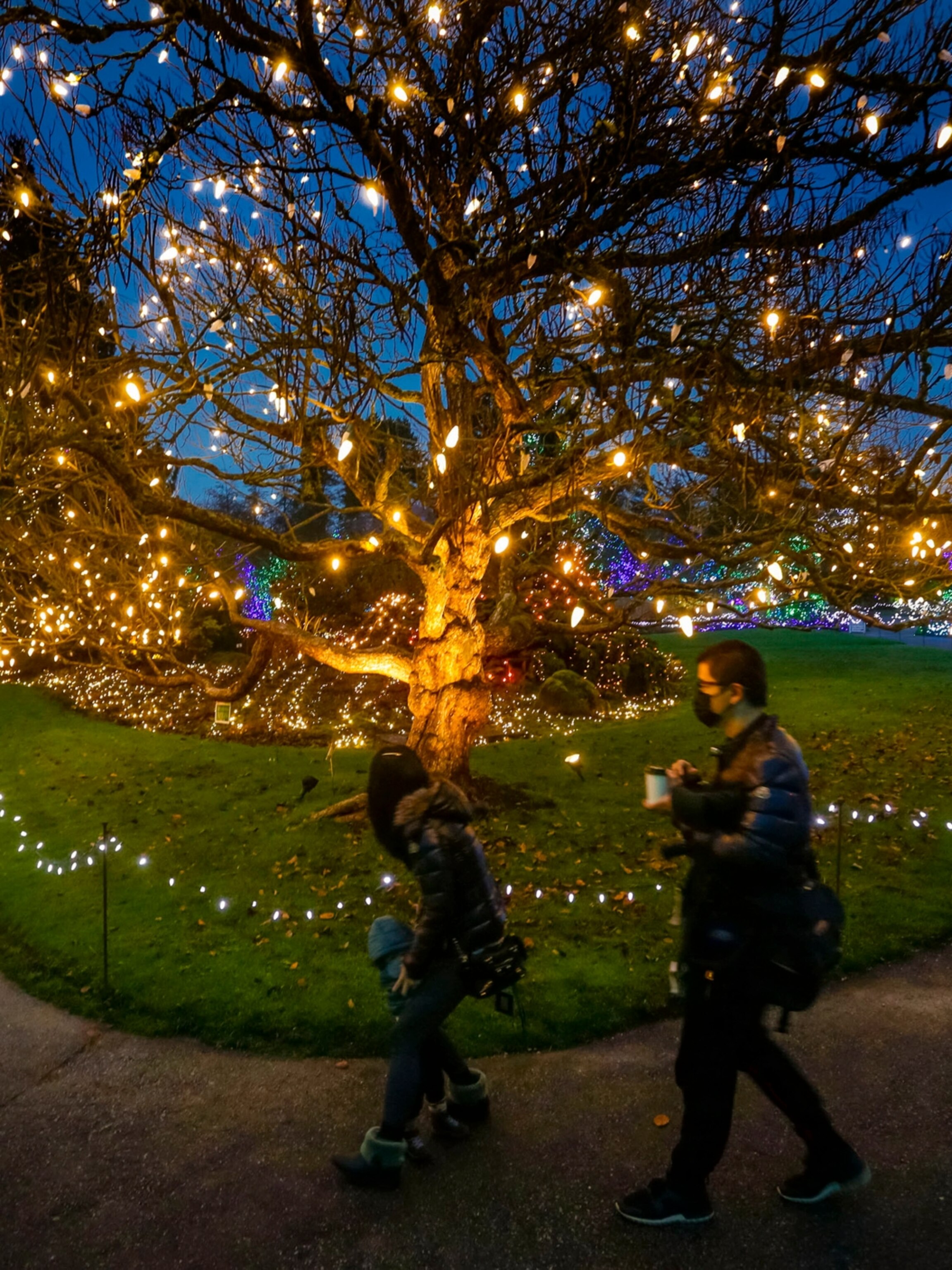 Memorial City Christmas Lights 2022 10 Dazzling Holiday Light Displays Around The World