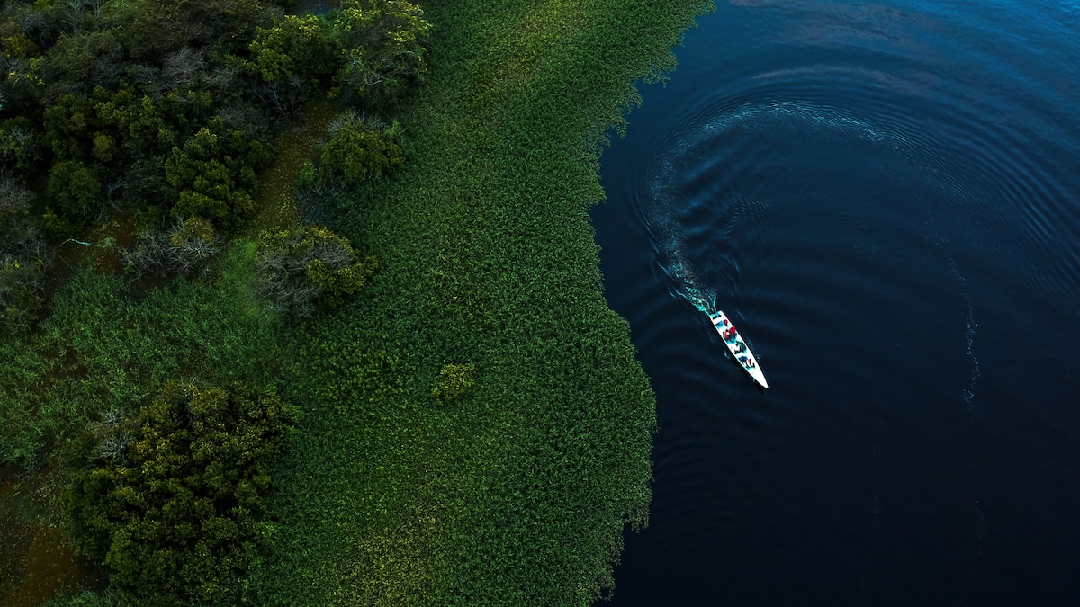 Did the Amazon rainforest contribute to the ‘Little Ice Age’ of the 1600s?