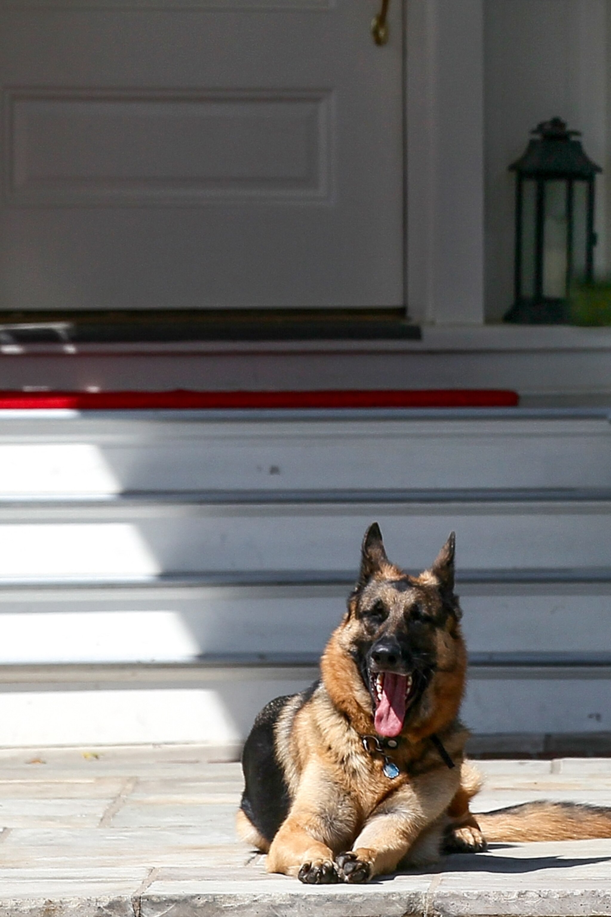 Buy Now Guaranteed Satisfied Quick delivery Professional Quality German