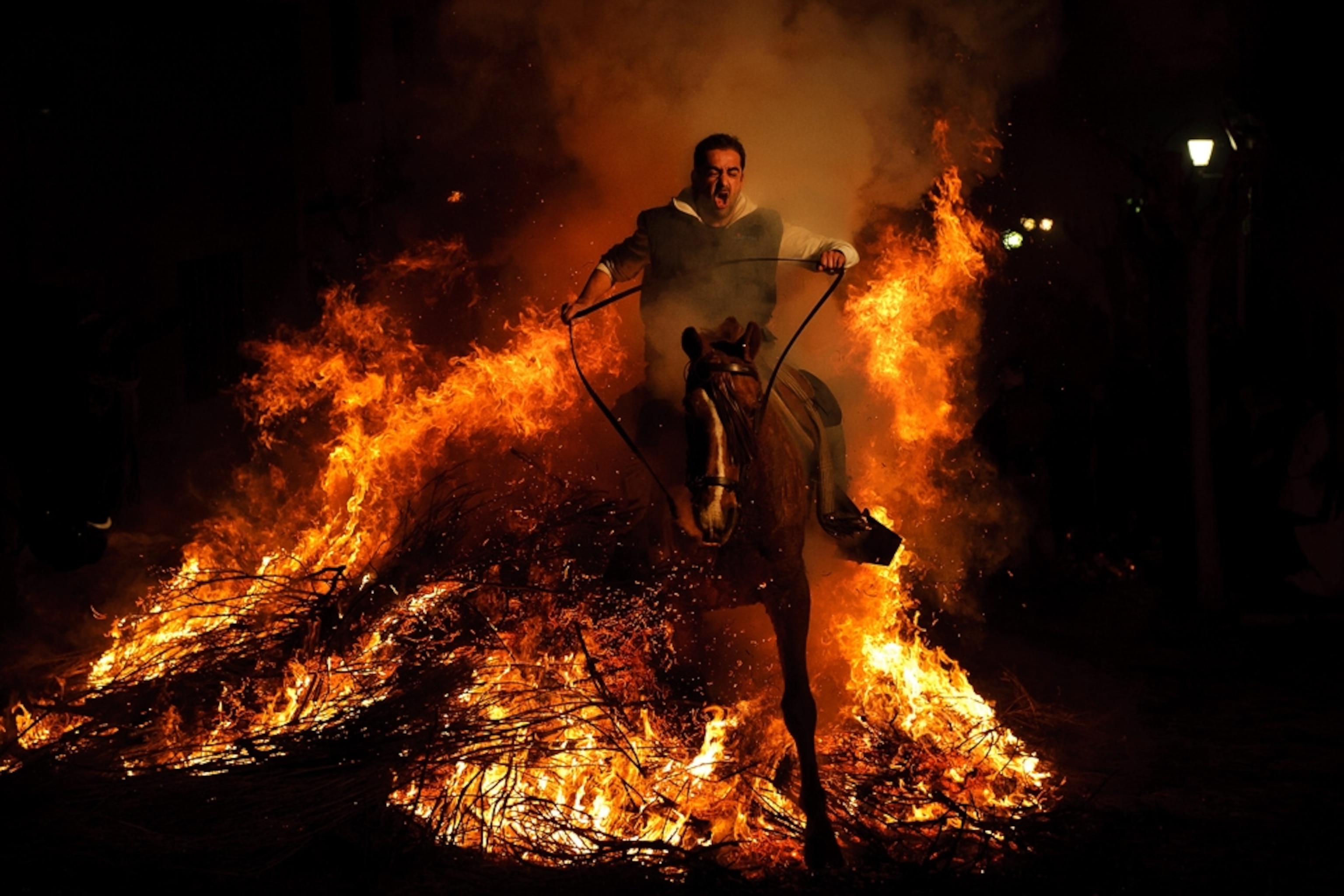 Spain horse picture: for Best Pictures of January photo gallery