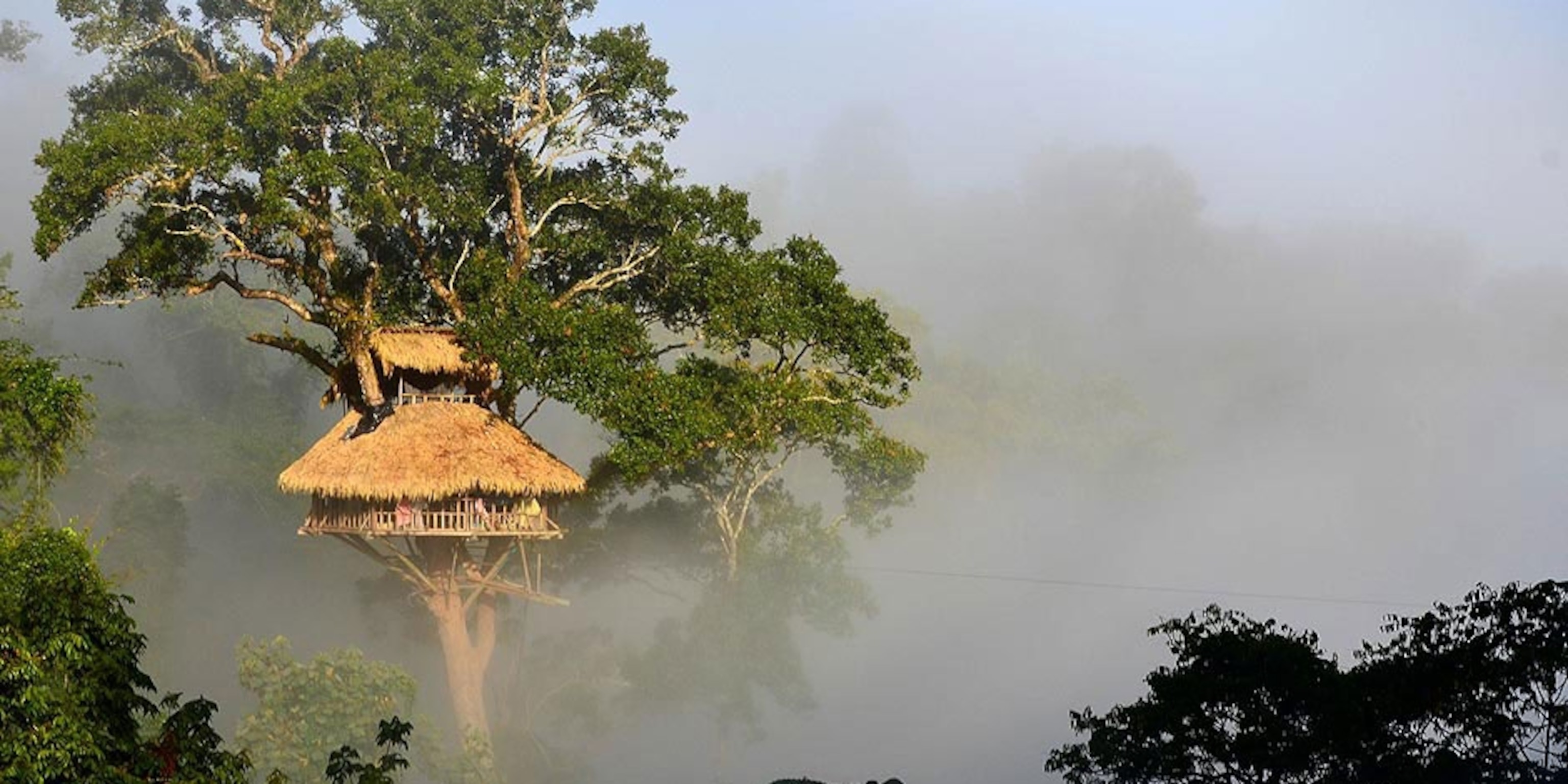 9 Tree Houses You Can Actually Sleep In