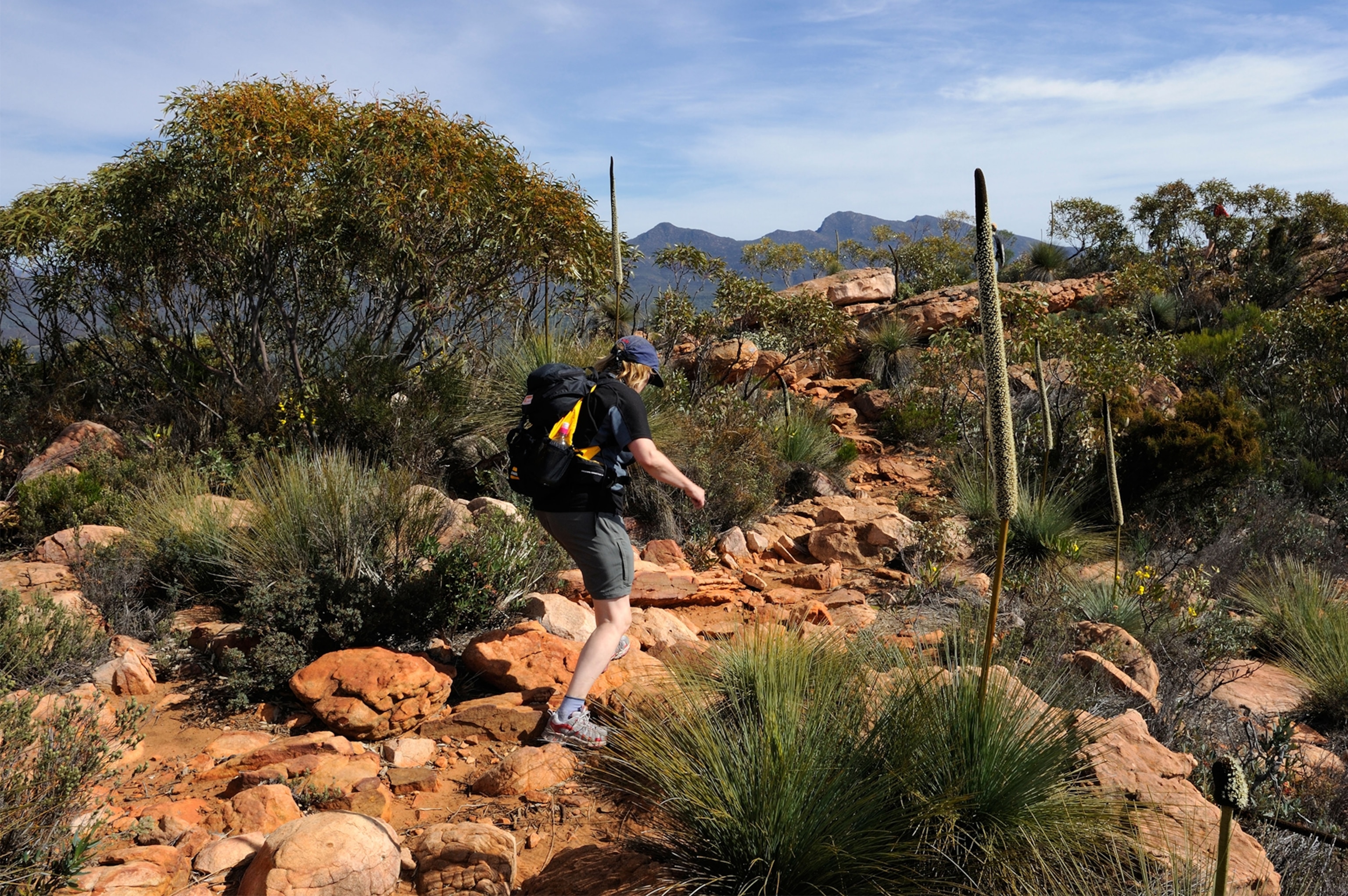 a woman hiking at Wilpena Pound, Flinders Ranges, South Australia