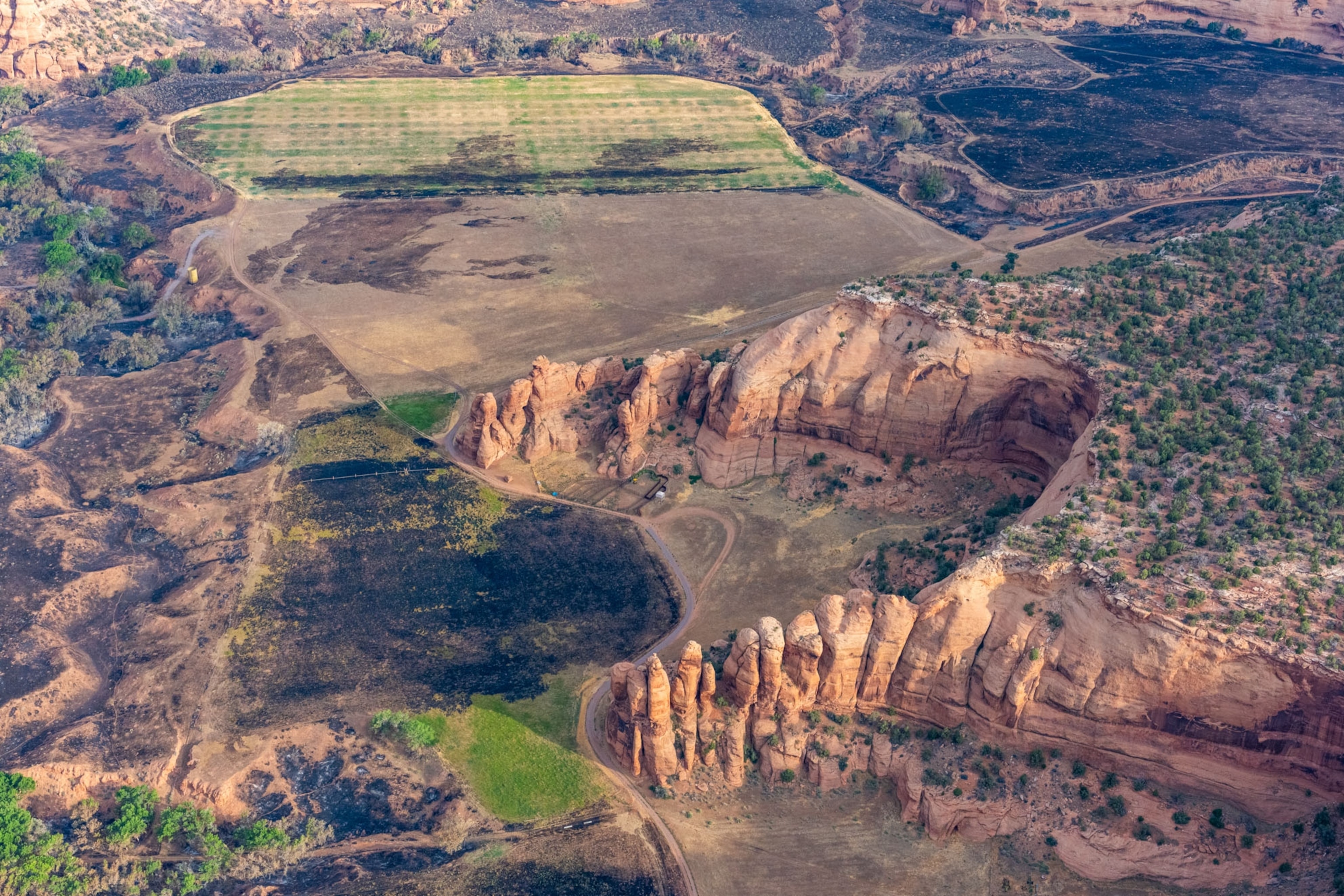 Aerial images of burned landscape from the Synder fire site and Willow Fire site.