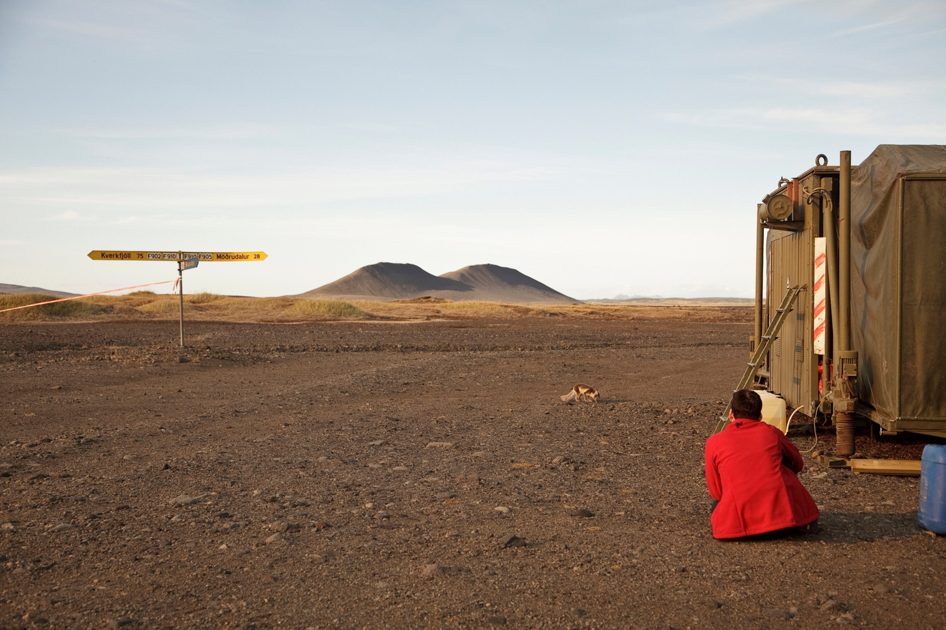 a woman in a red coat watching an arctic fox in Iceland's vast highlands