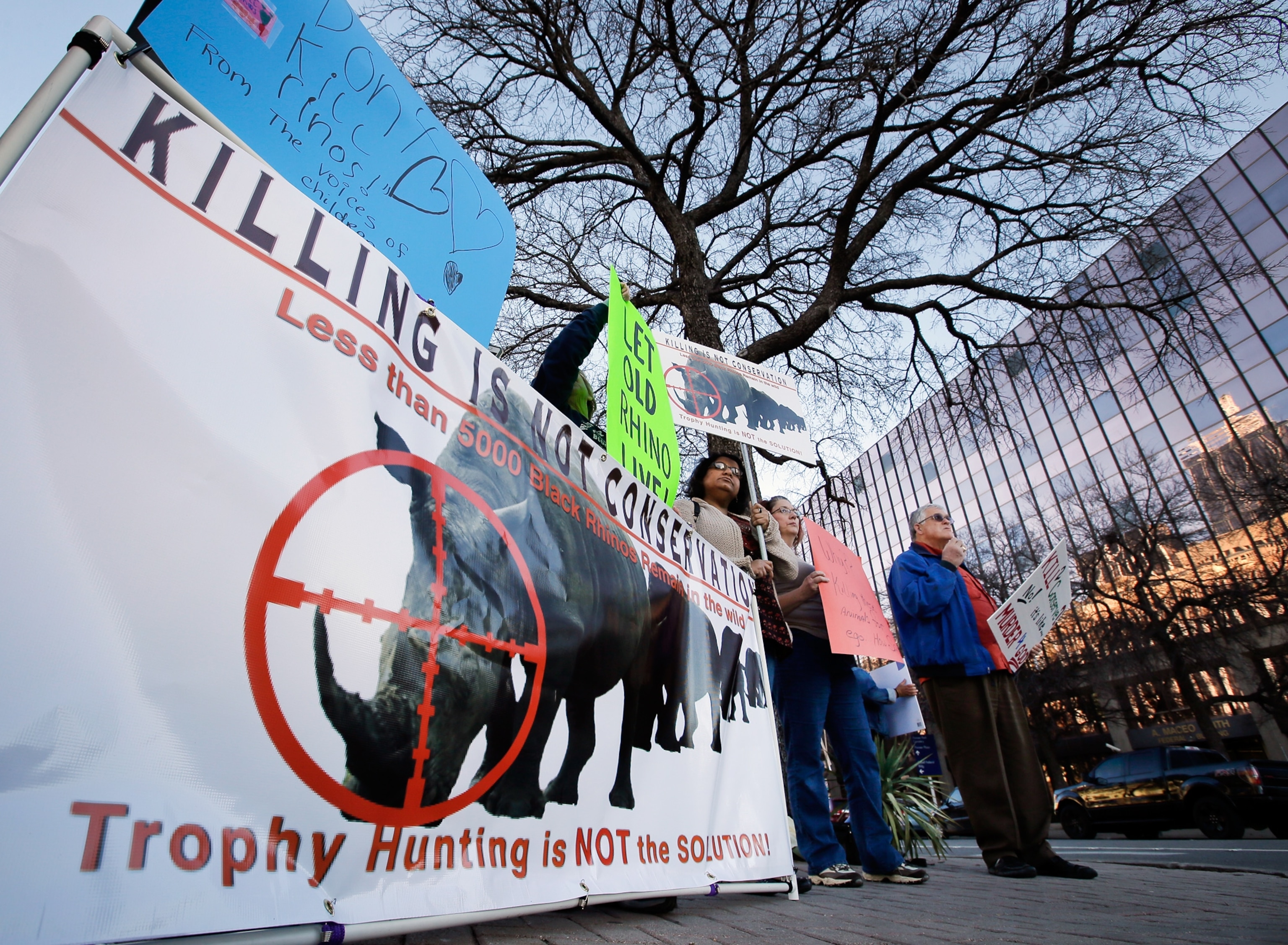 a black rhino, Diceros bicornis, Etosha National Park, Namibia