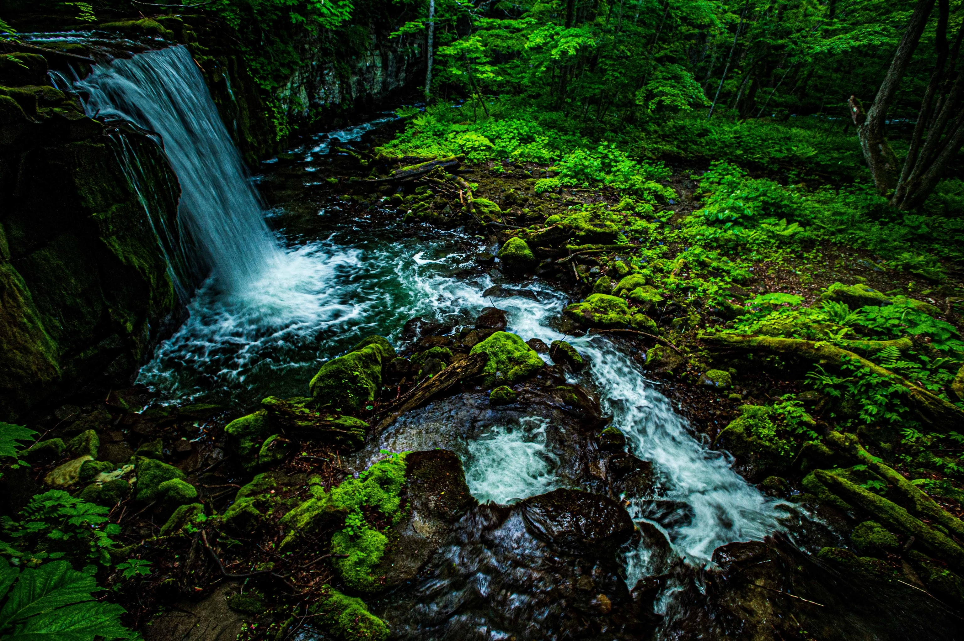 Image of Choshi Otaki Waterfall in Oirase Gorge, Towada-Hachimantai National Park