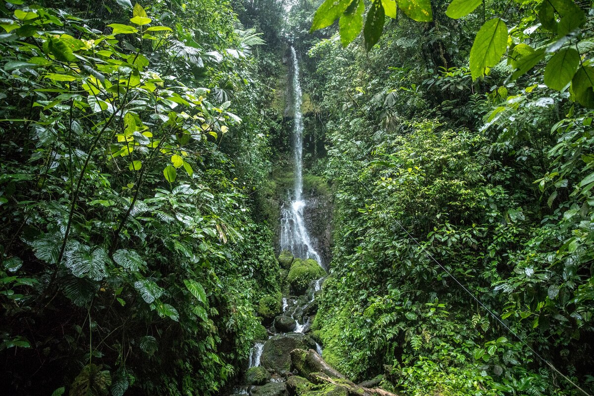 Lost Canyon Young Life