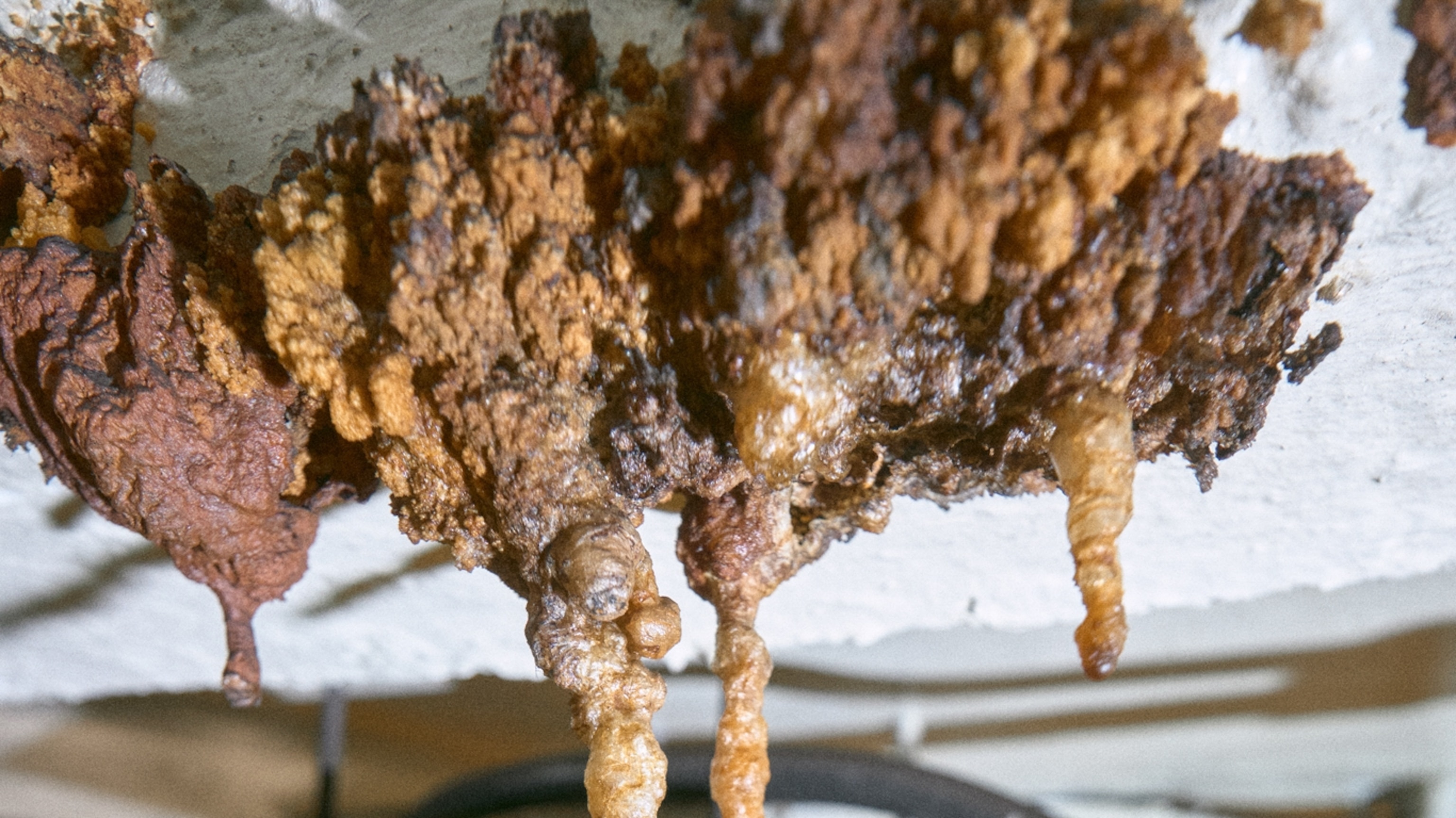 The surprising geological wonders hidden in the NYC subway