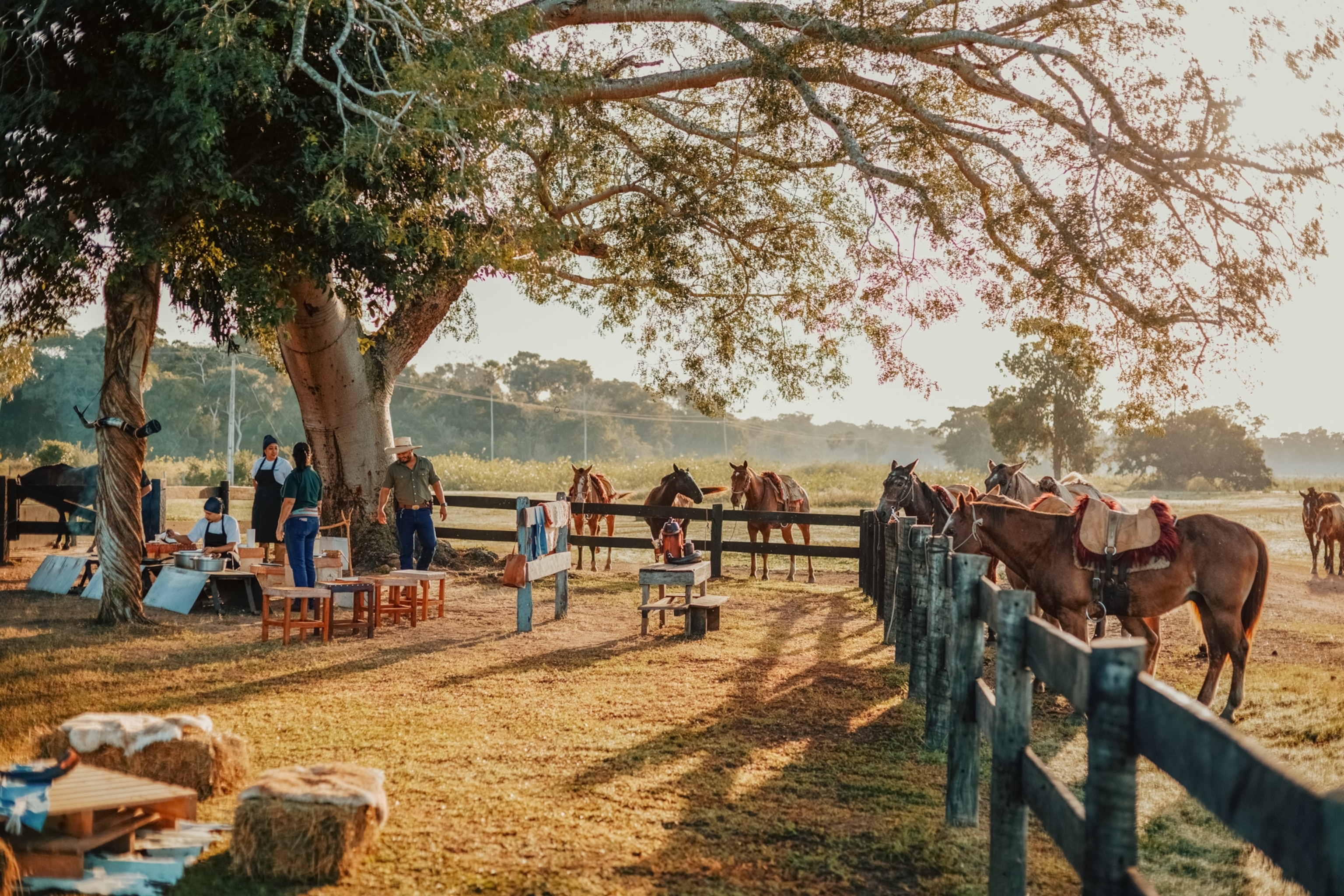 Horses stand beside a wooden fence under a large tree, while several people gather around an outdoor seating area in a rural pasture.