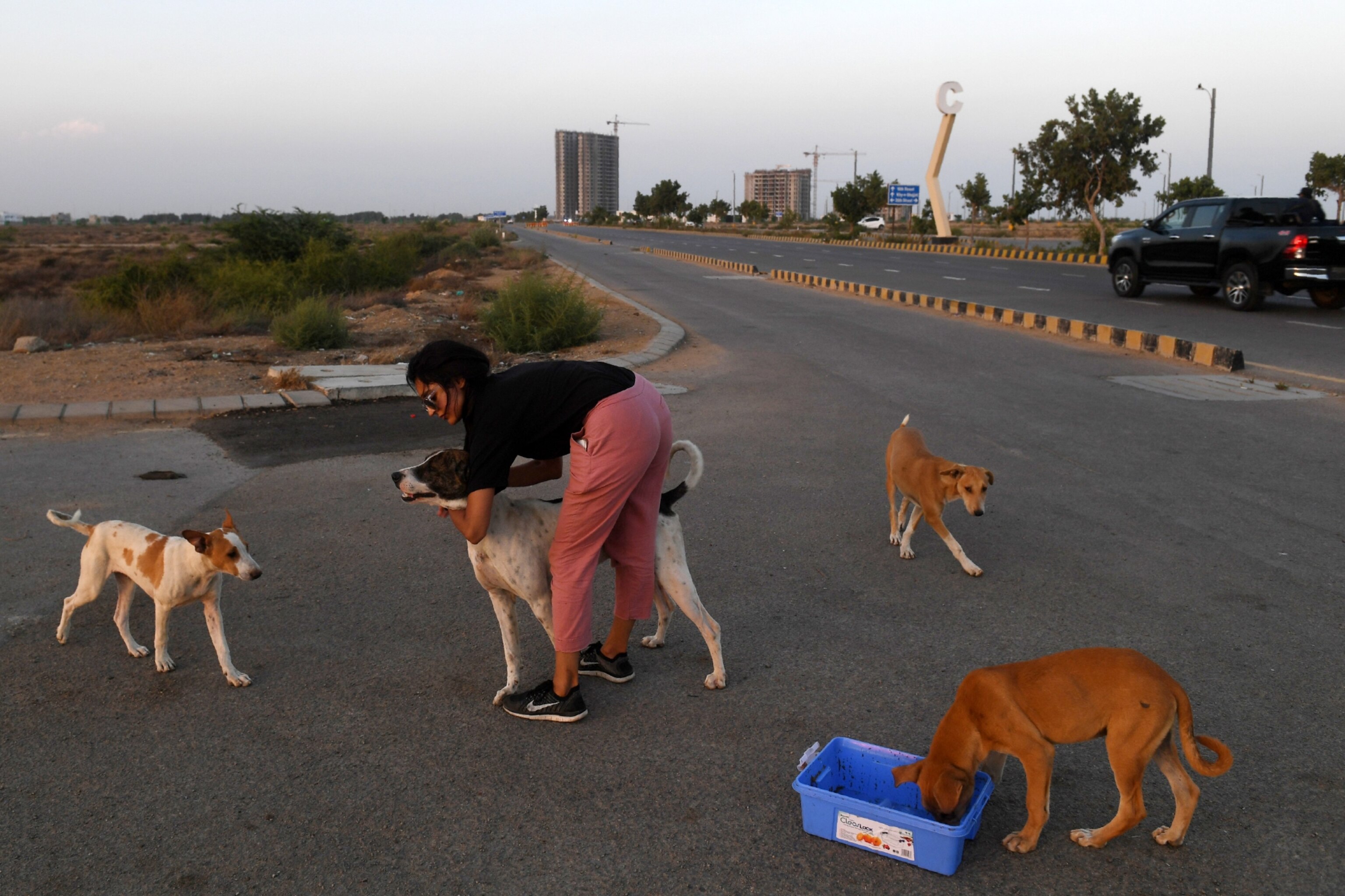 A woman feeding dogs outside