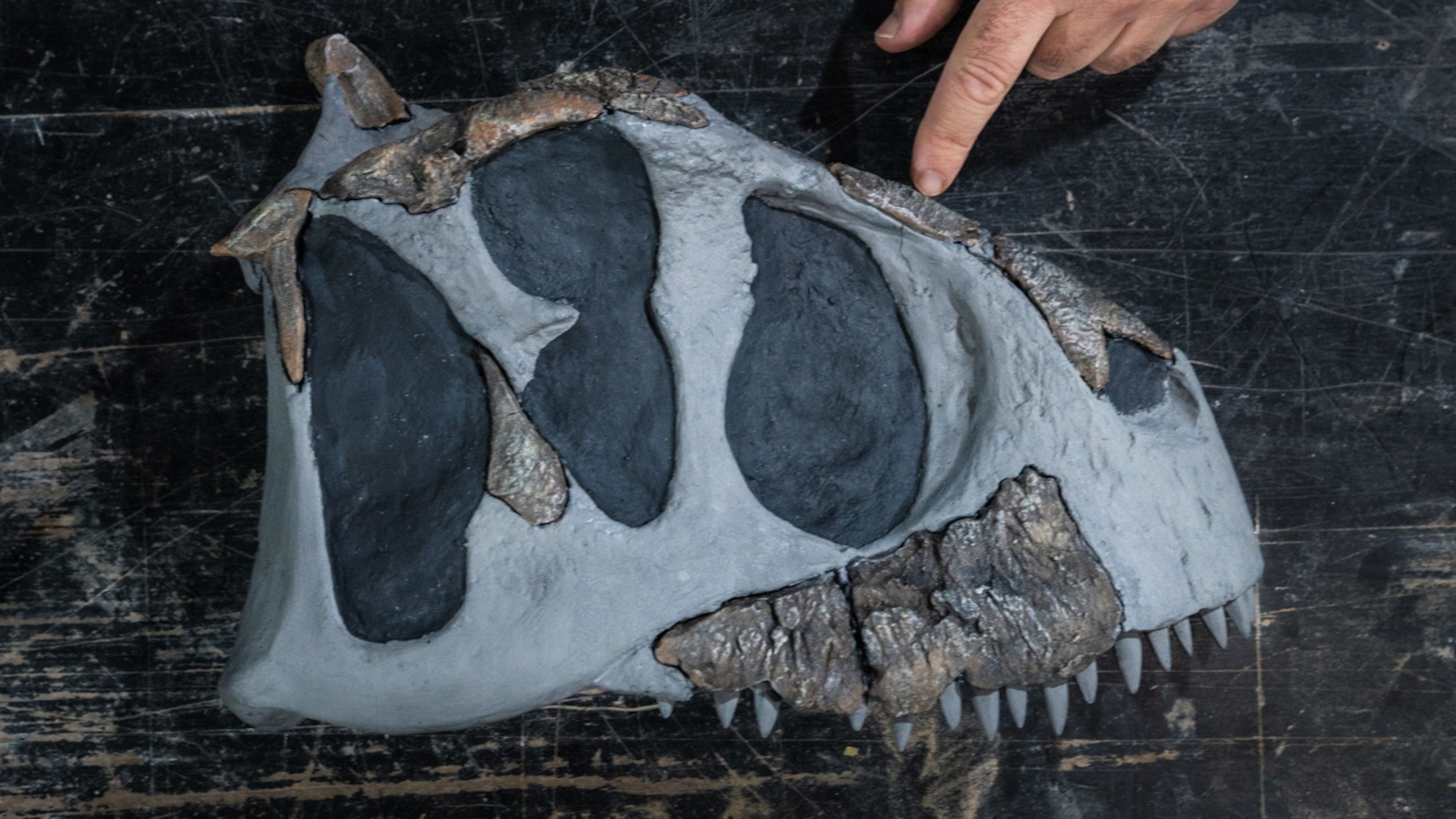 Scientists just dug up a new dinosaur—with tinier arms than a T.Rex - Vimarsana News