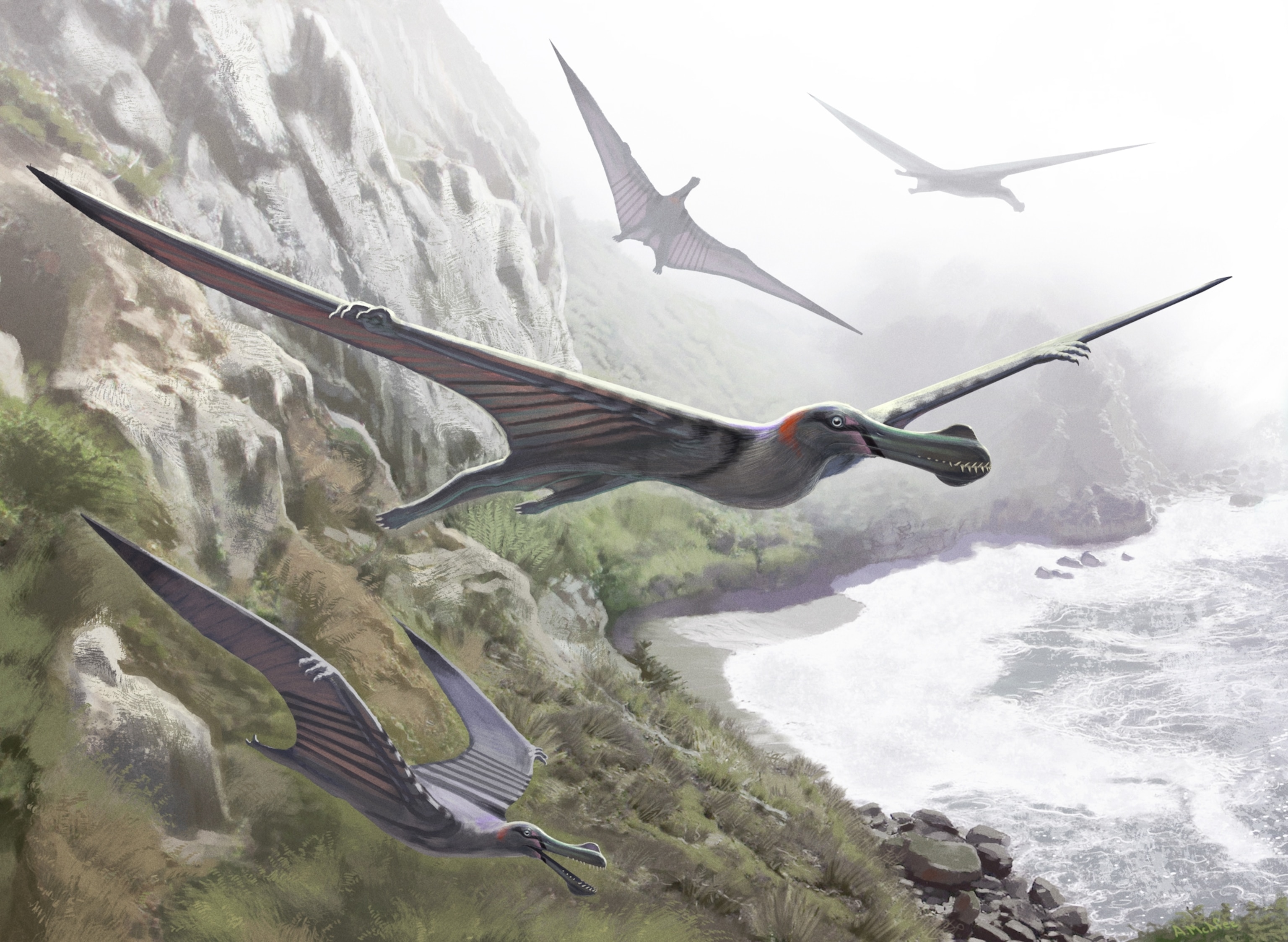 A group of pterosaurs glide above a rocky coastline, with waves crashing on the shore. One large pterosaur features a long snout and colorful markings, while two others soar in the misty background.
