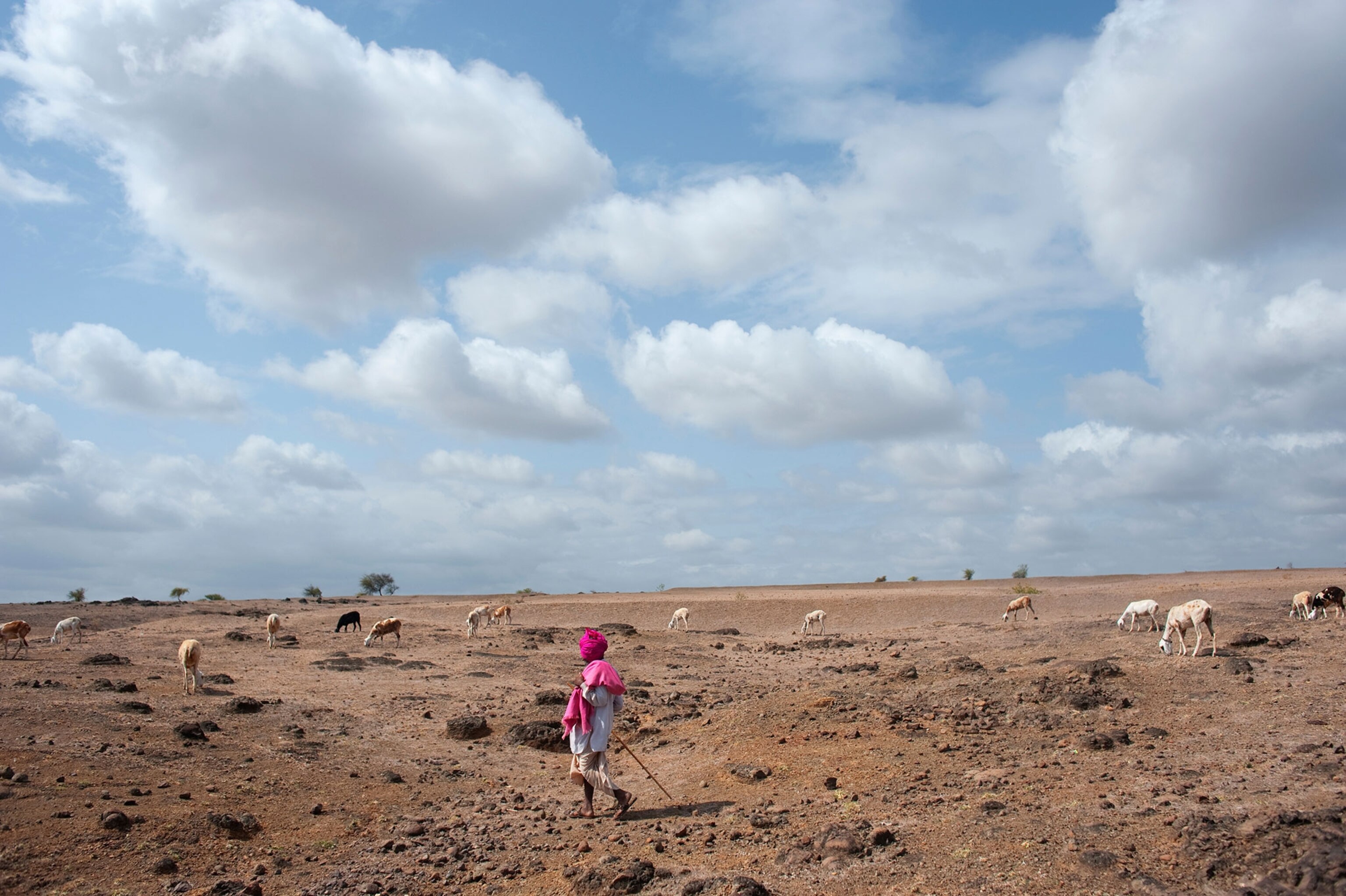 A dusty field near the village of Morabgi