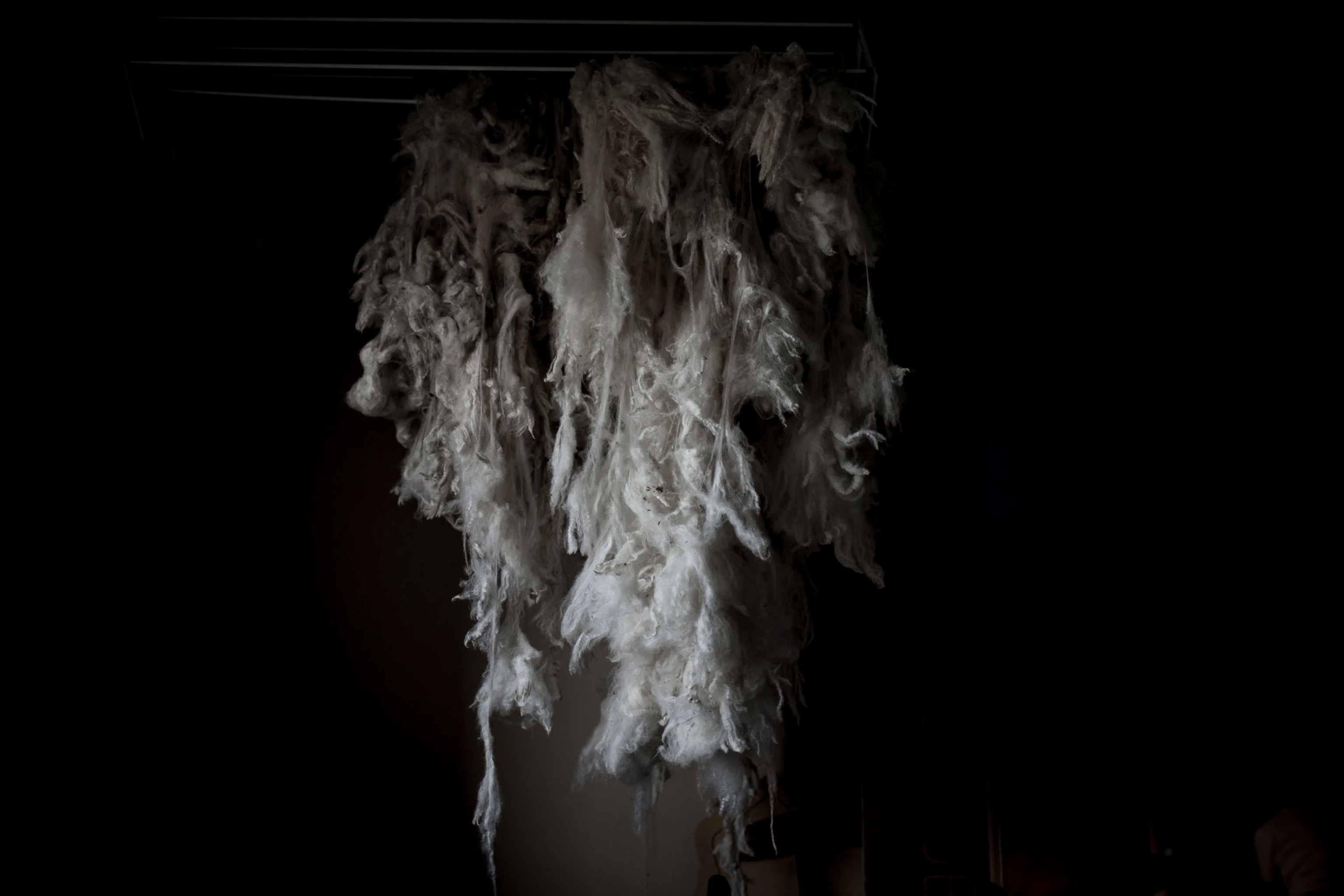 wool drying