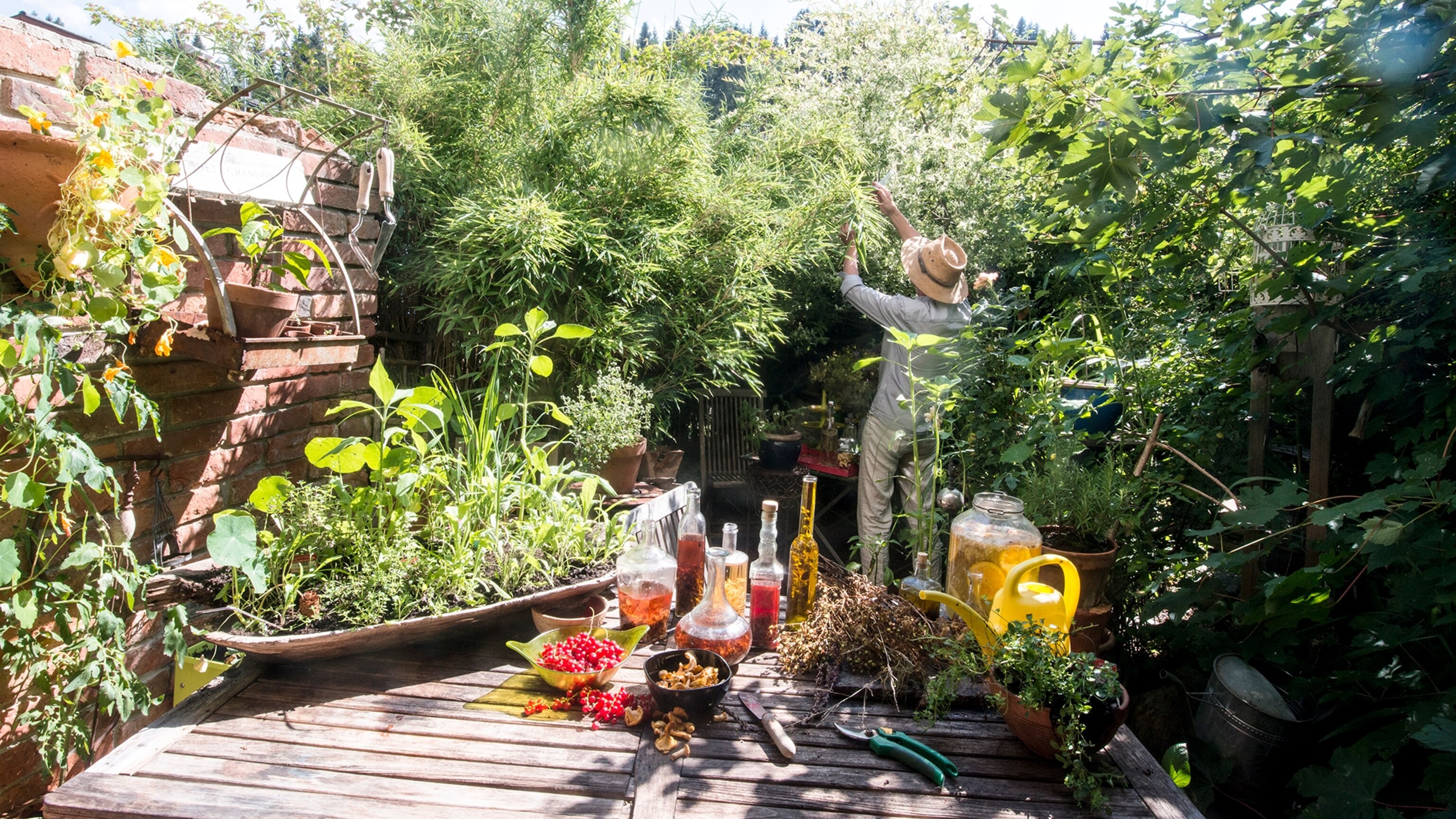 The 15 best gifts for gardeners in 2024 - Vimarsana News
