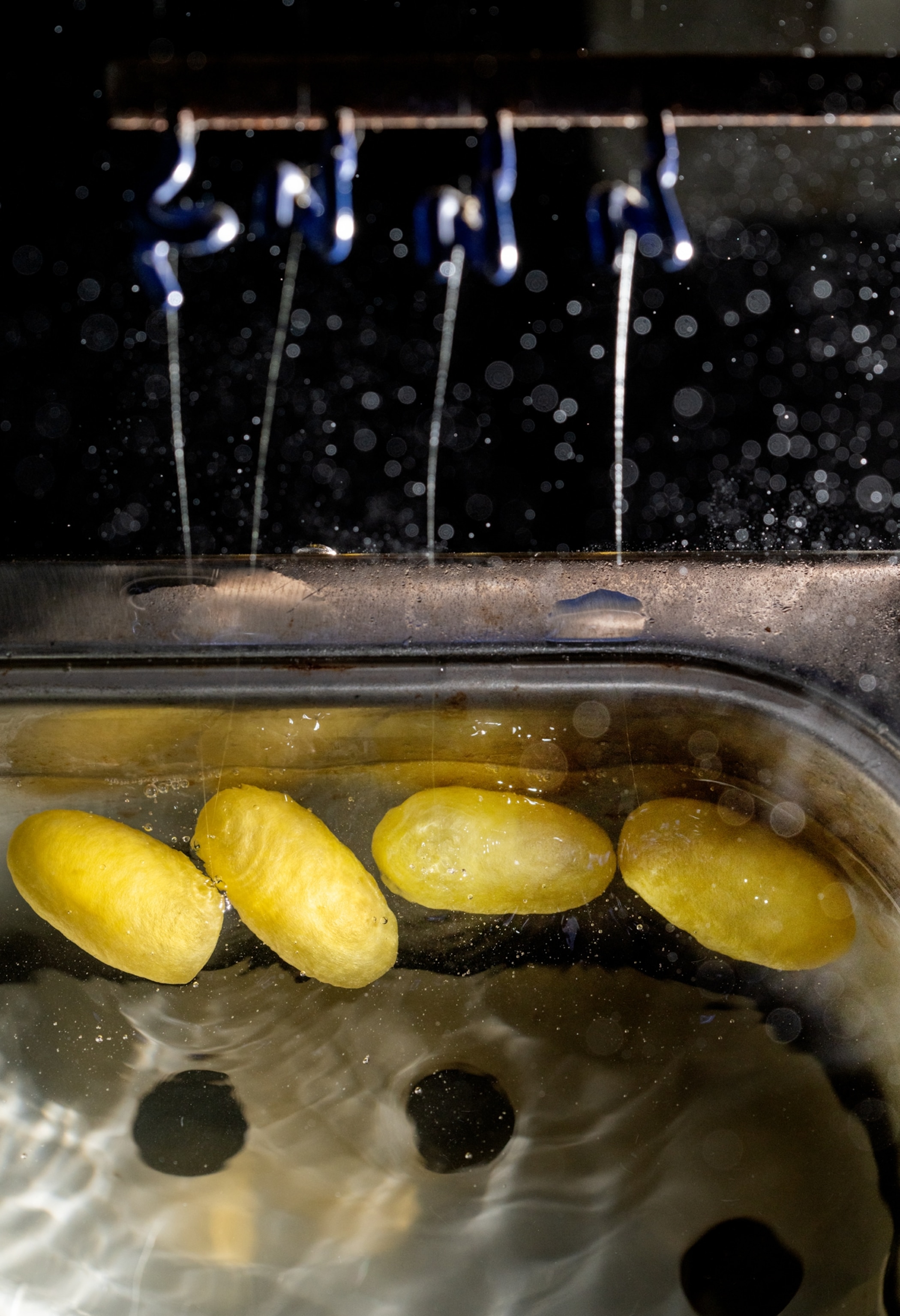 Four yellow cocoons in metal dish