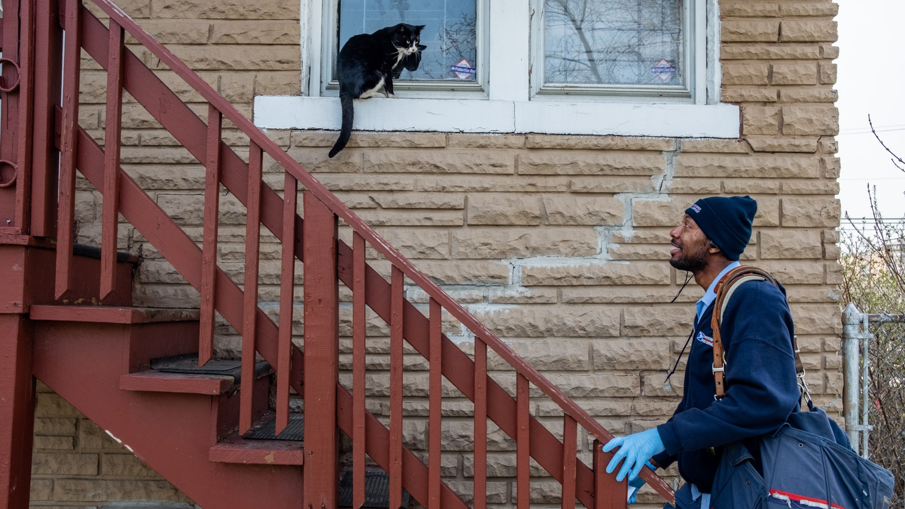Ebony Ass Spreading Ebony Ass Spreading