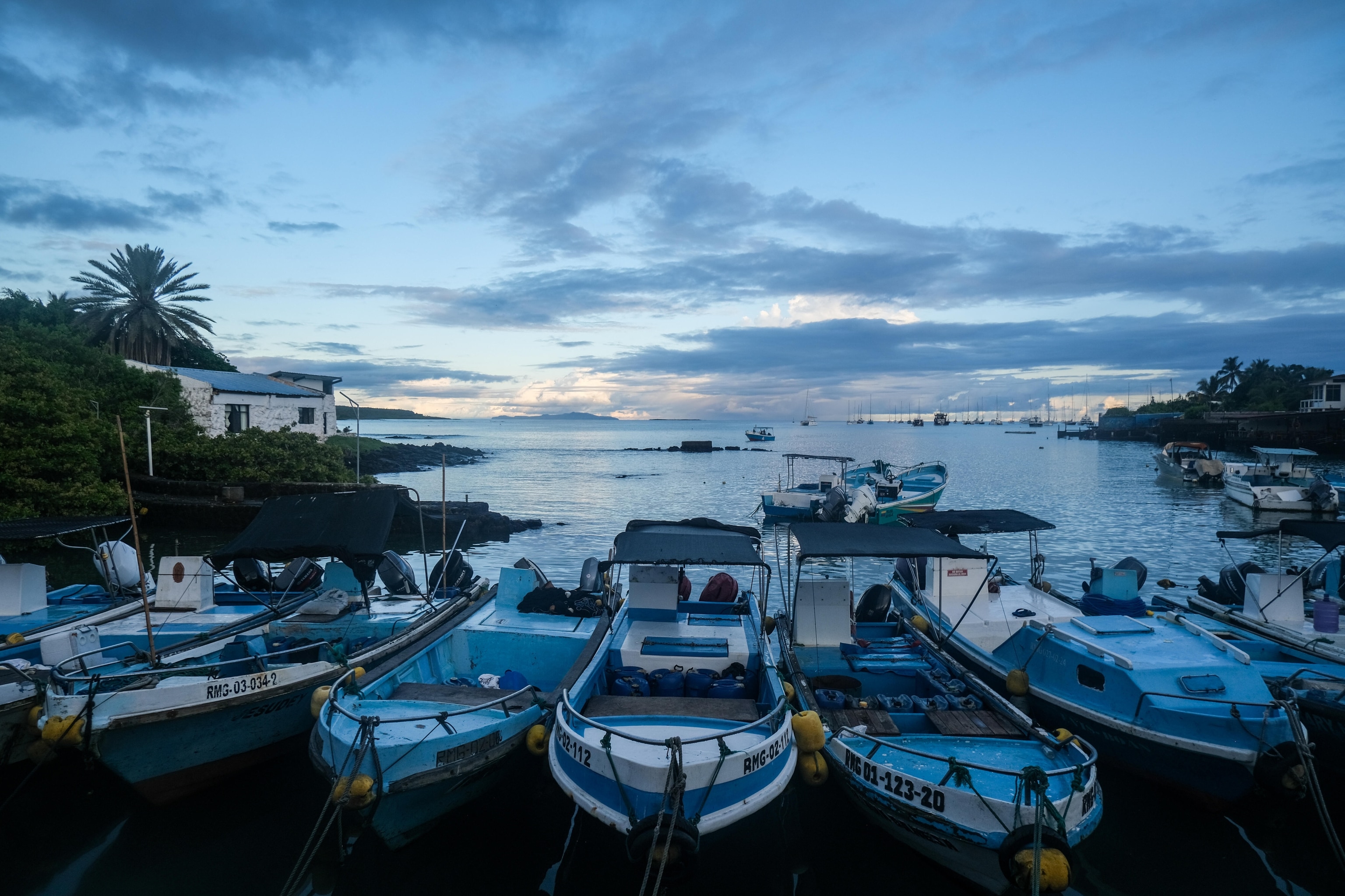 The National Geographic Society, in partnership with Lindblad Expeditions, organized a series of National Geographic Photo Camps in the Galápagos. These camps aim to provide young people across the islands with an engaging introduction to photography and storytelling, empowering them to explore and reflect on what it means to be "Galapagueño." Several boats in the port of Santa Cruz during sunset. Photographer: Escarleth Tubón. Santa Cruz, Galápagos, Ecuador, February 2025.