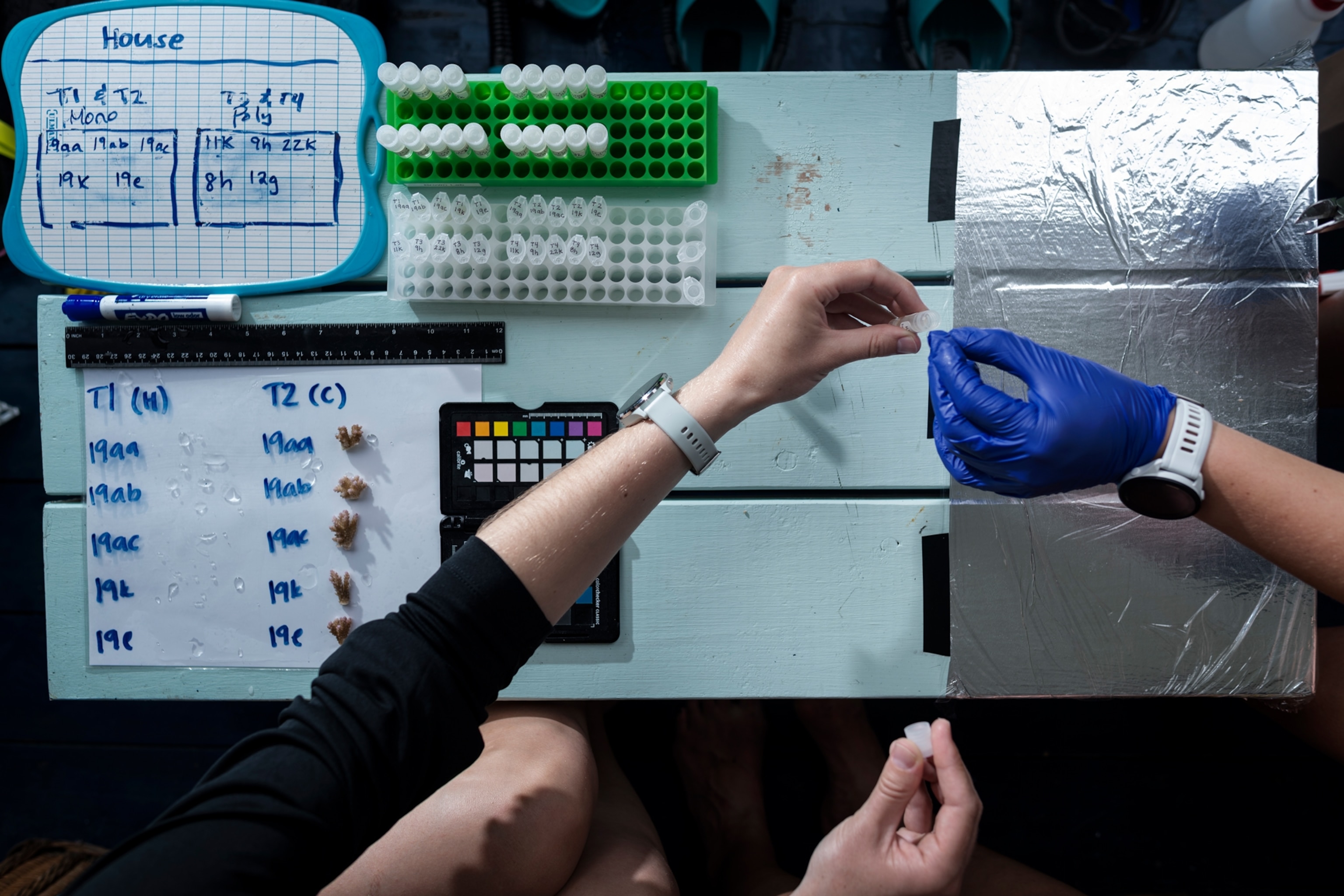 View from about at lab table with samples and notepads. Two peoples' hands performing a task together.